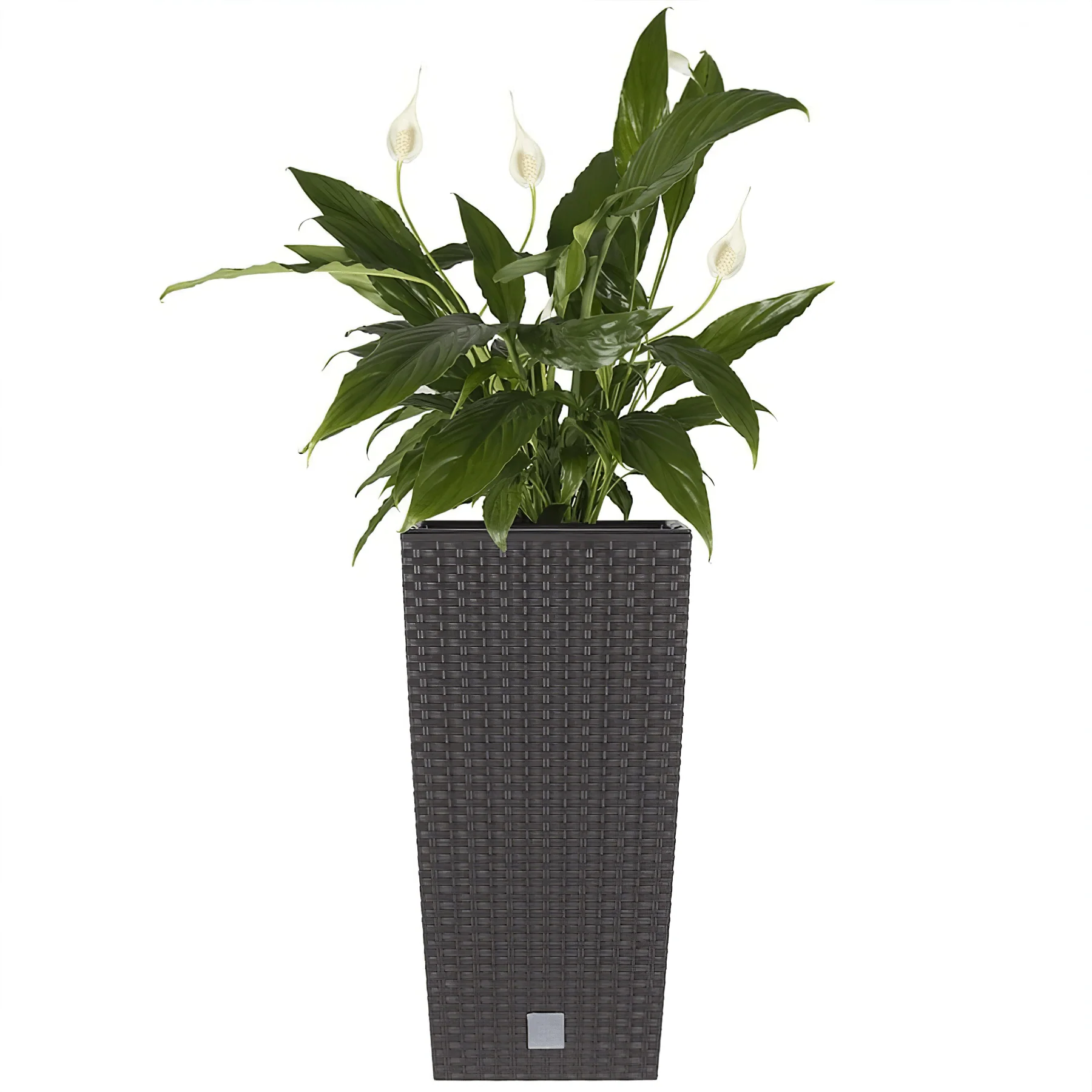 Rato Tall Planter 400 - Image 5