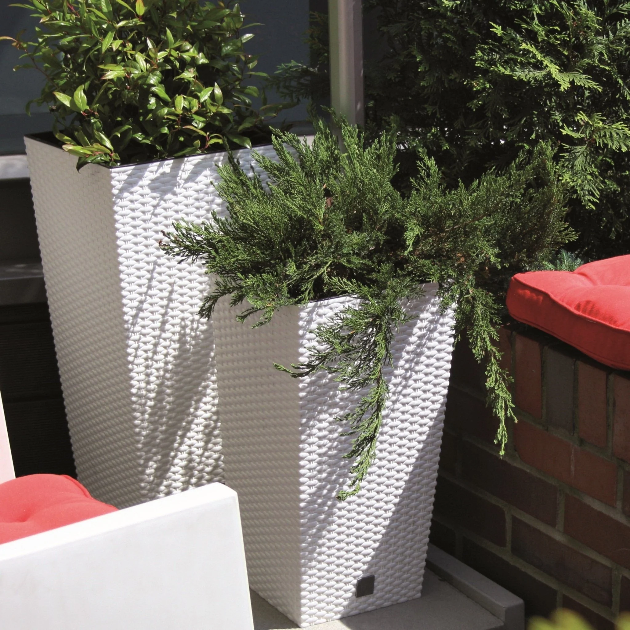 Rato Tall Planter 400 - Image 7