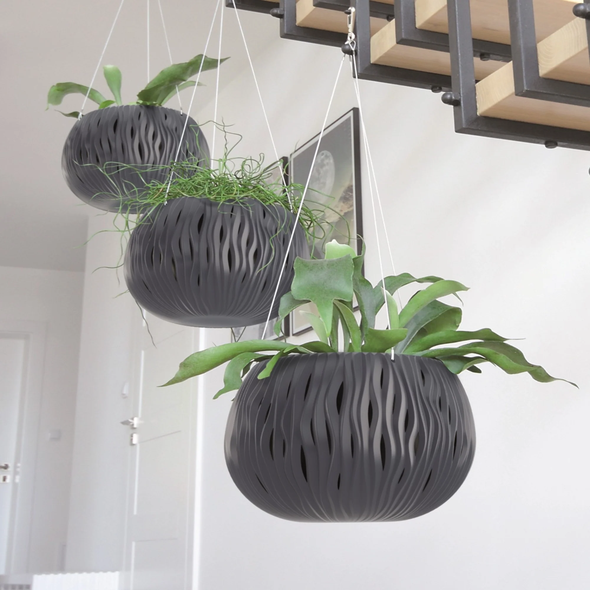 Sandy Hanging Planter 370 - Image 5