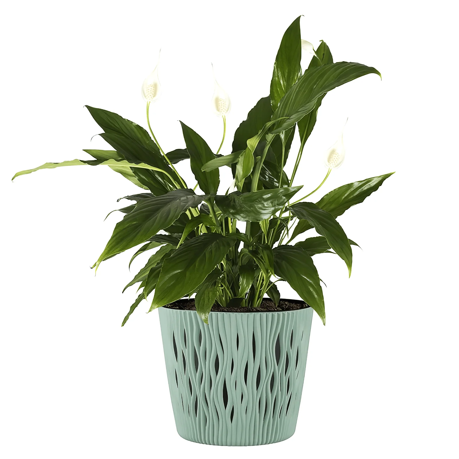 Sandy Round Planter 220 - Image 6