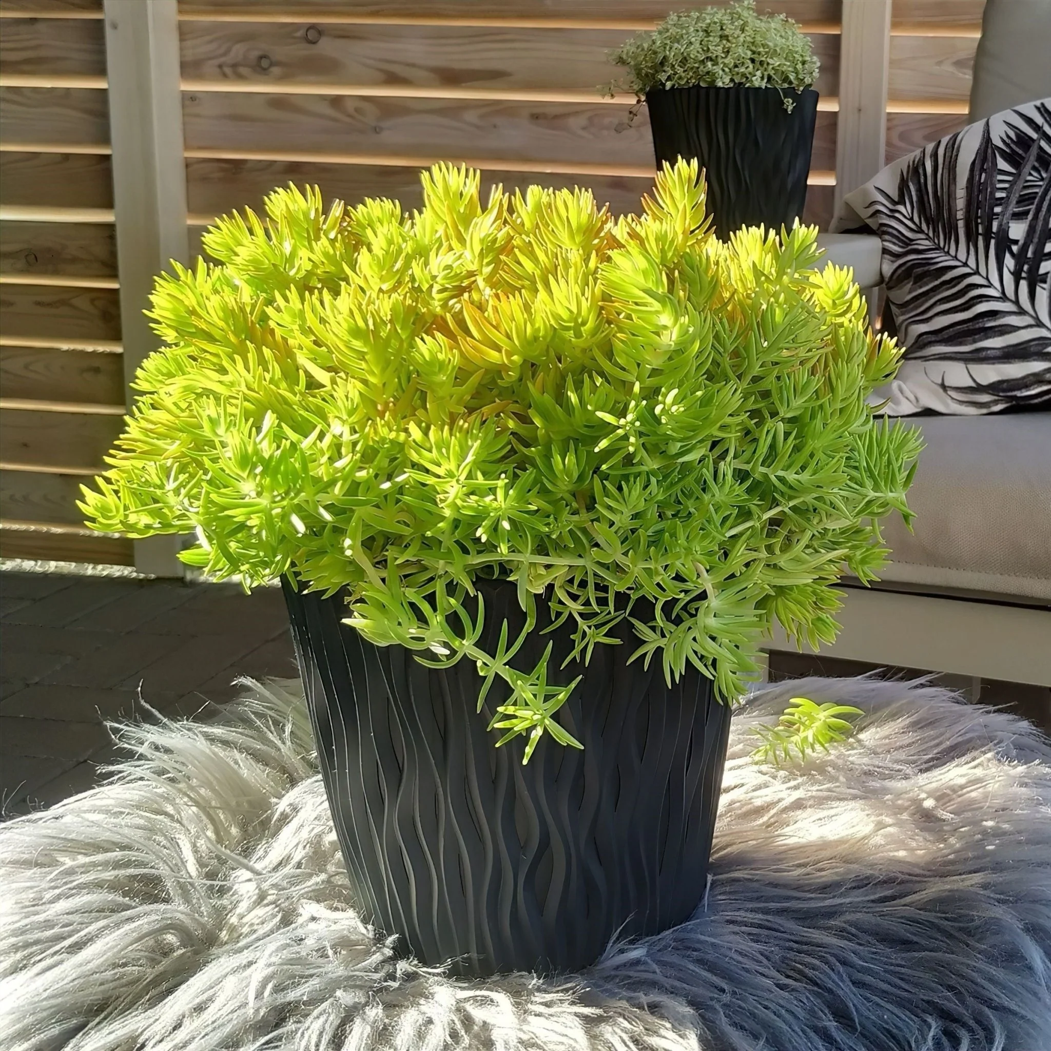 Sandy Round Planter 260 - Image 6