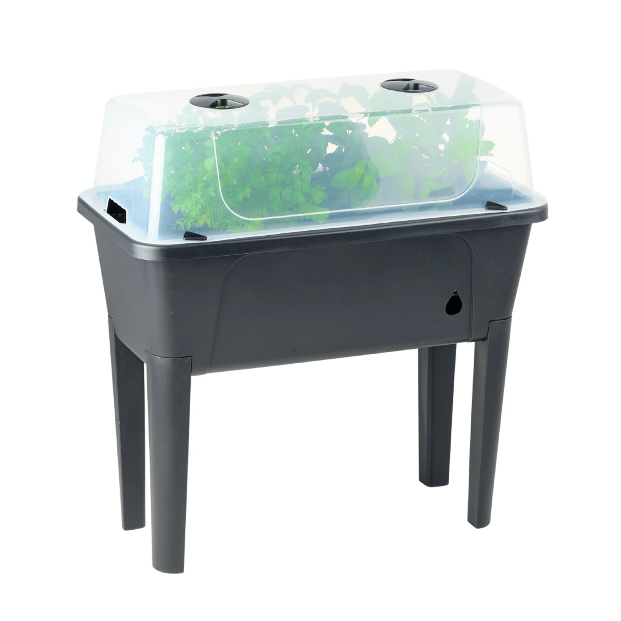 Self Watering Raised Garden Bed with Cover - Twin Pack - Image 3