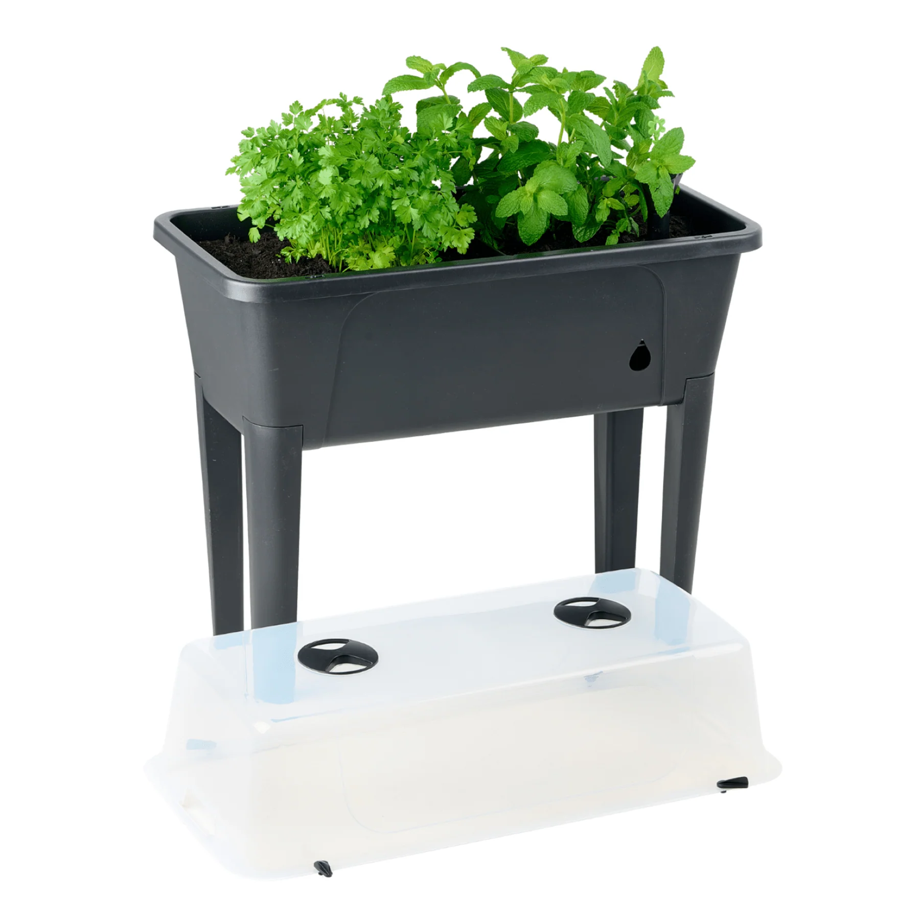Self Watering Raised Garden Bed with Cover - Twin Pack - Image 4