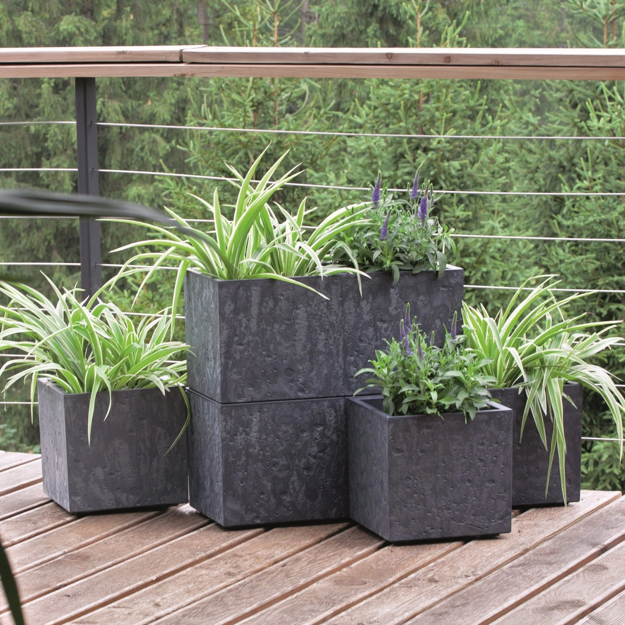 Sierra Case Planter 600 - Image 10