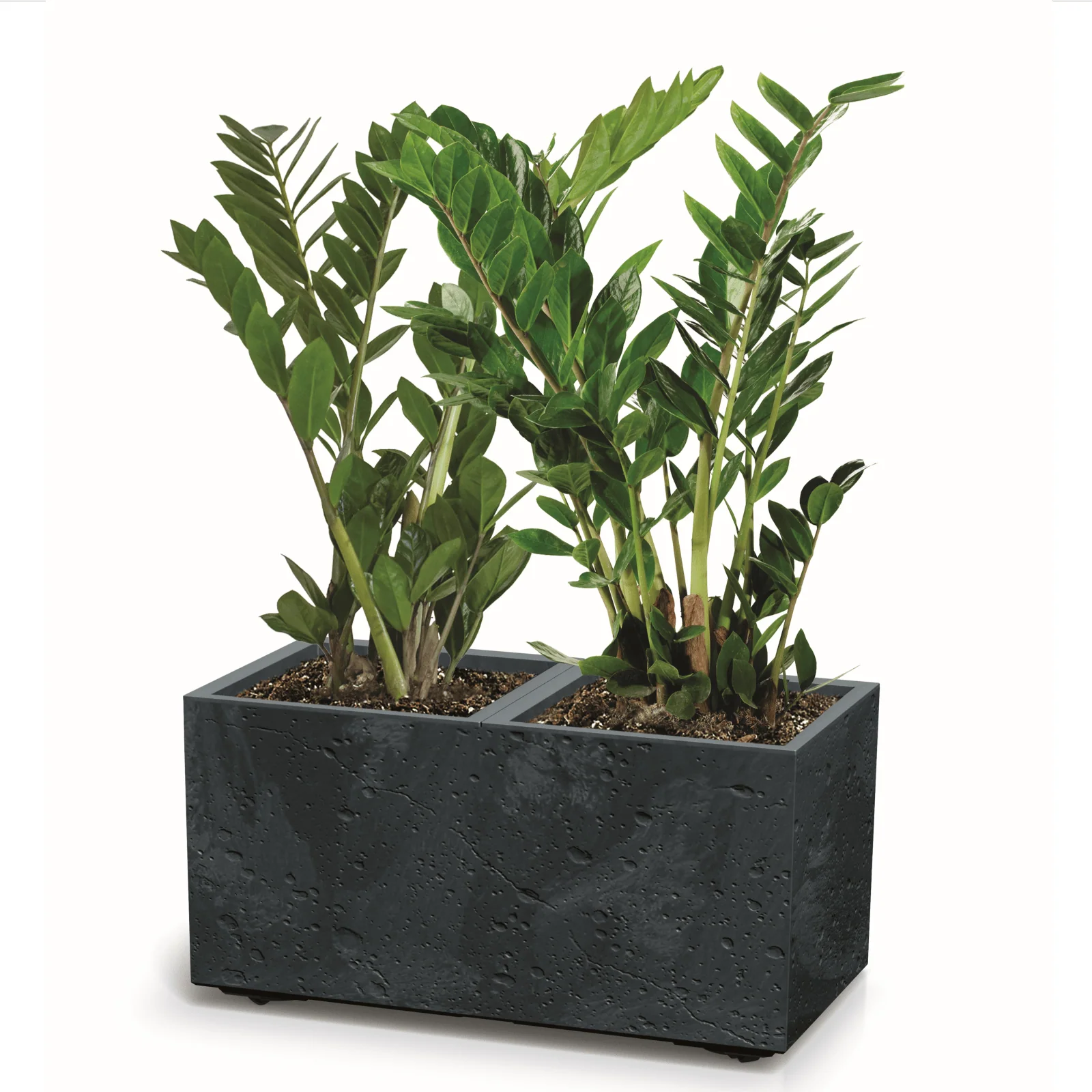Sierra Case Planter 600 - Image 7