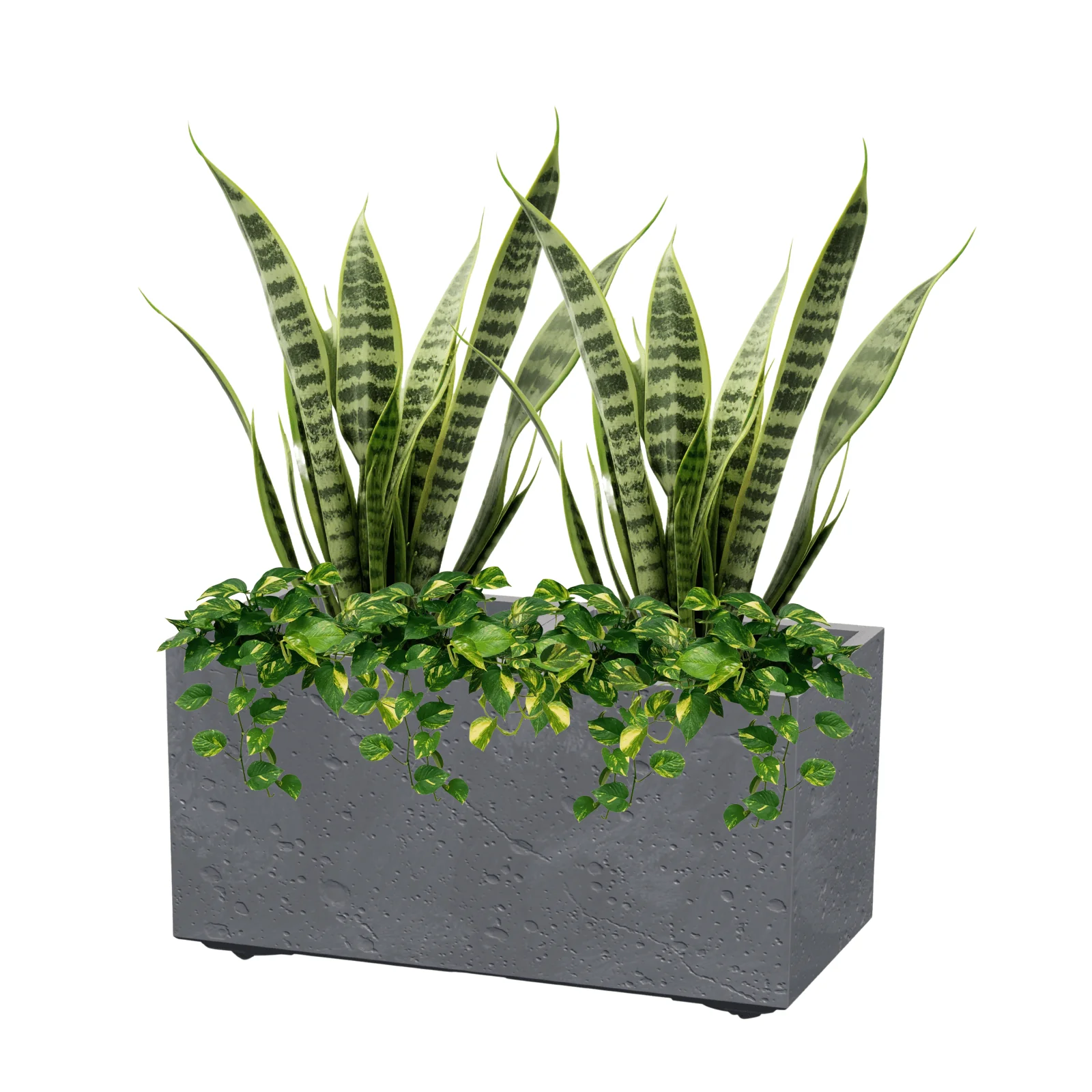 Sierra Case Planter 600 - Image 8