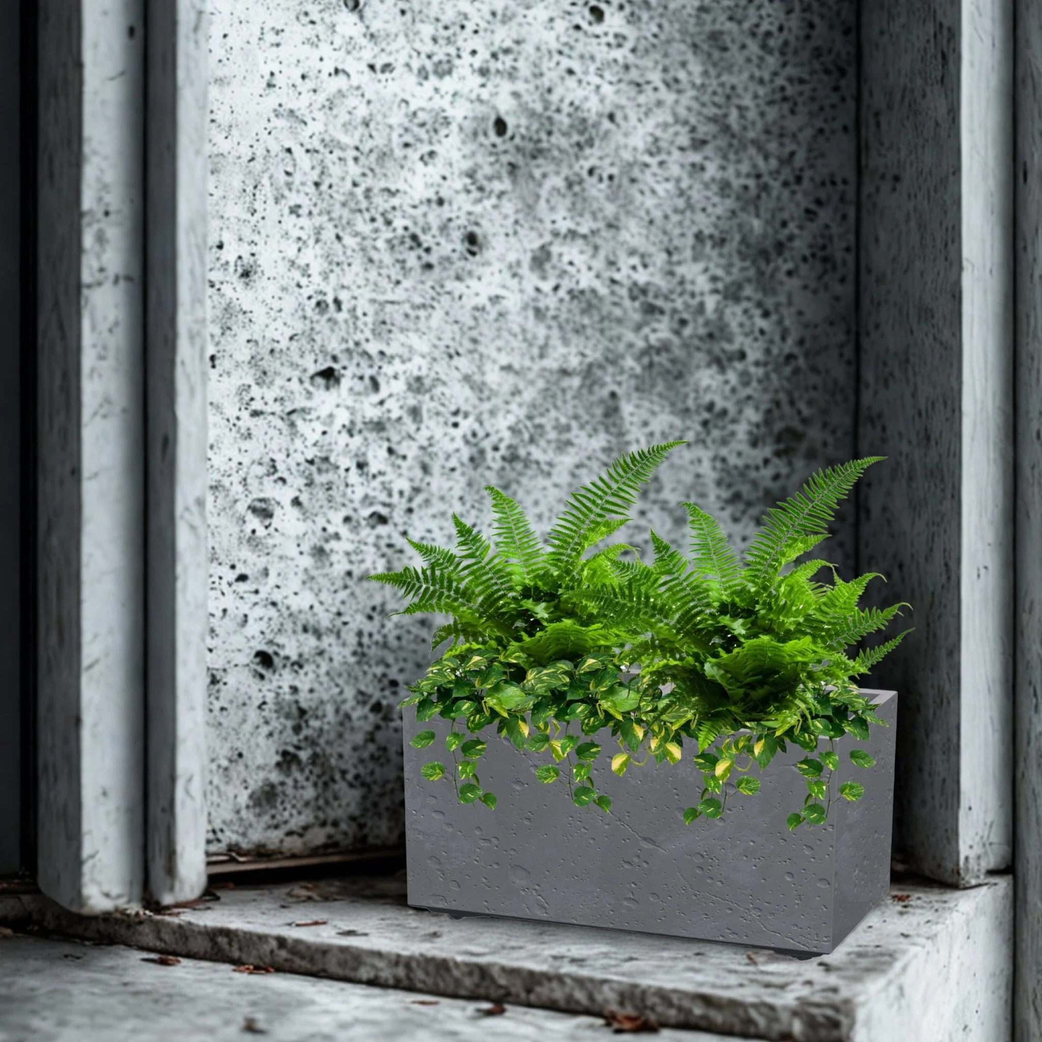 Sierra Case Planter 600 - Image 9