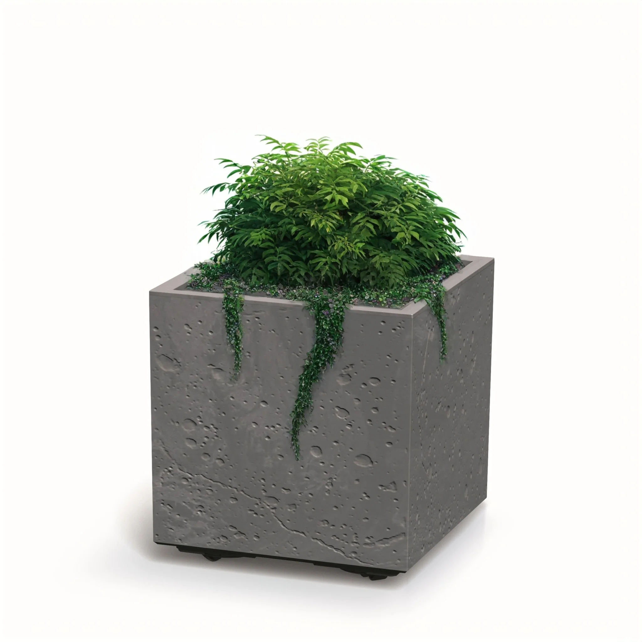 Sierra Square Planter 400 - Image 7