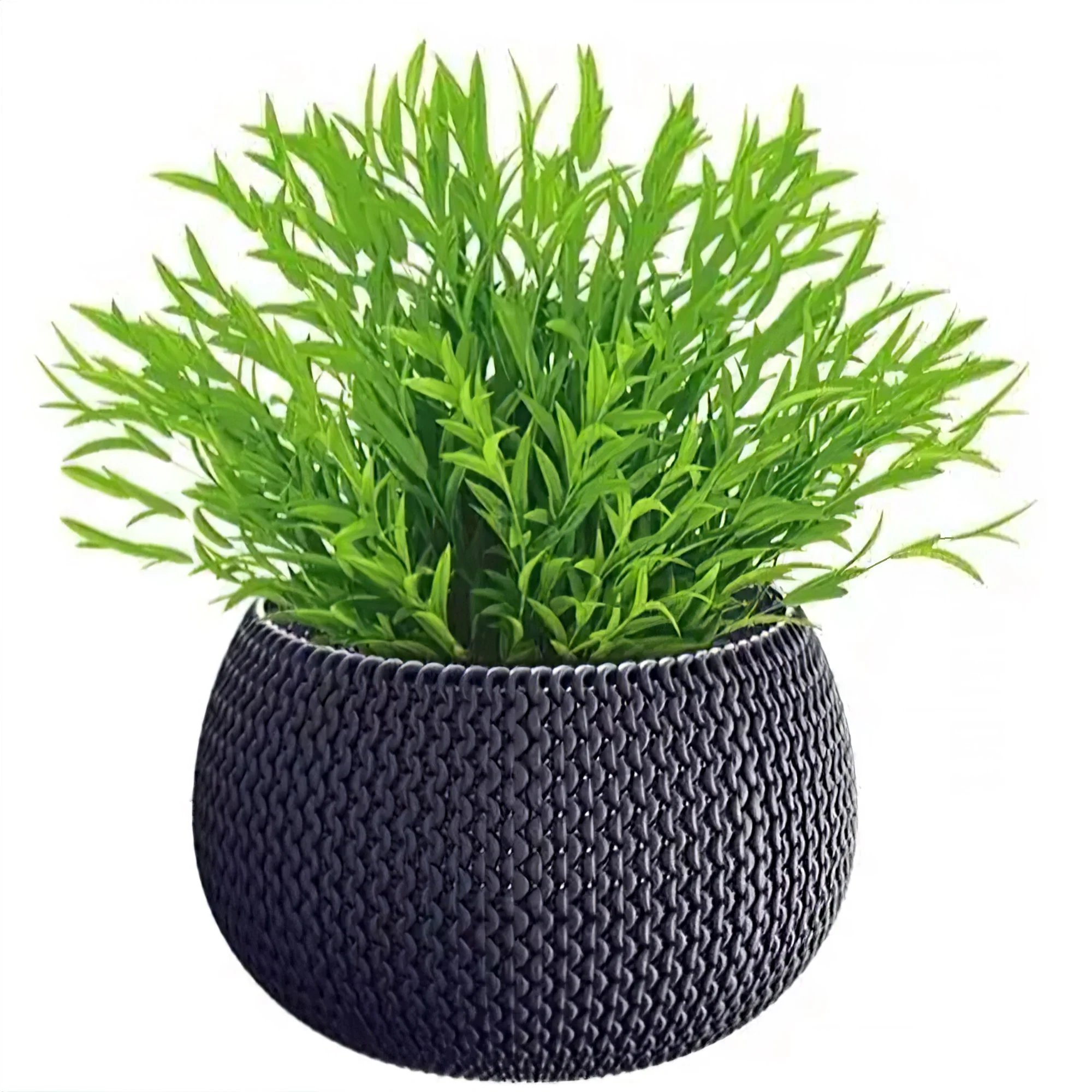 Splofy Bowl Planter 240 - Image 4
