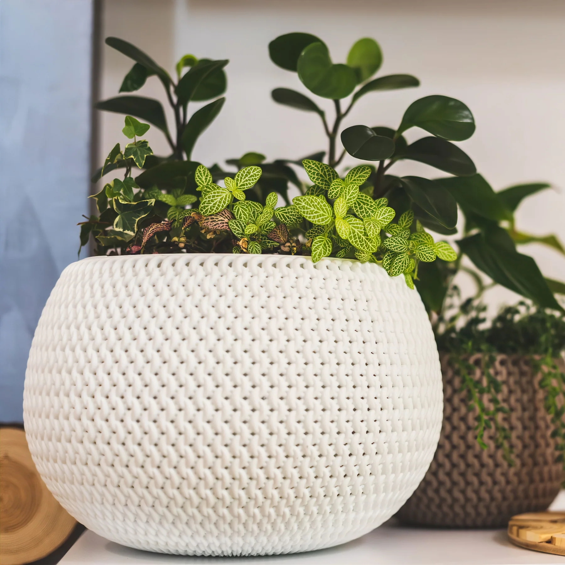 Splofy Bowl Planter 240 - Image 6