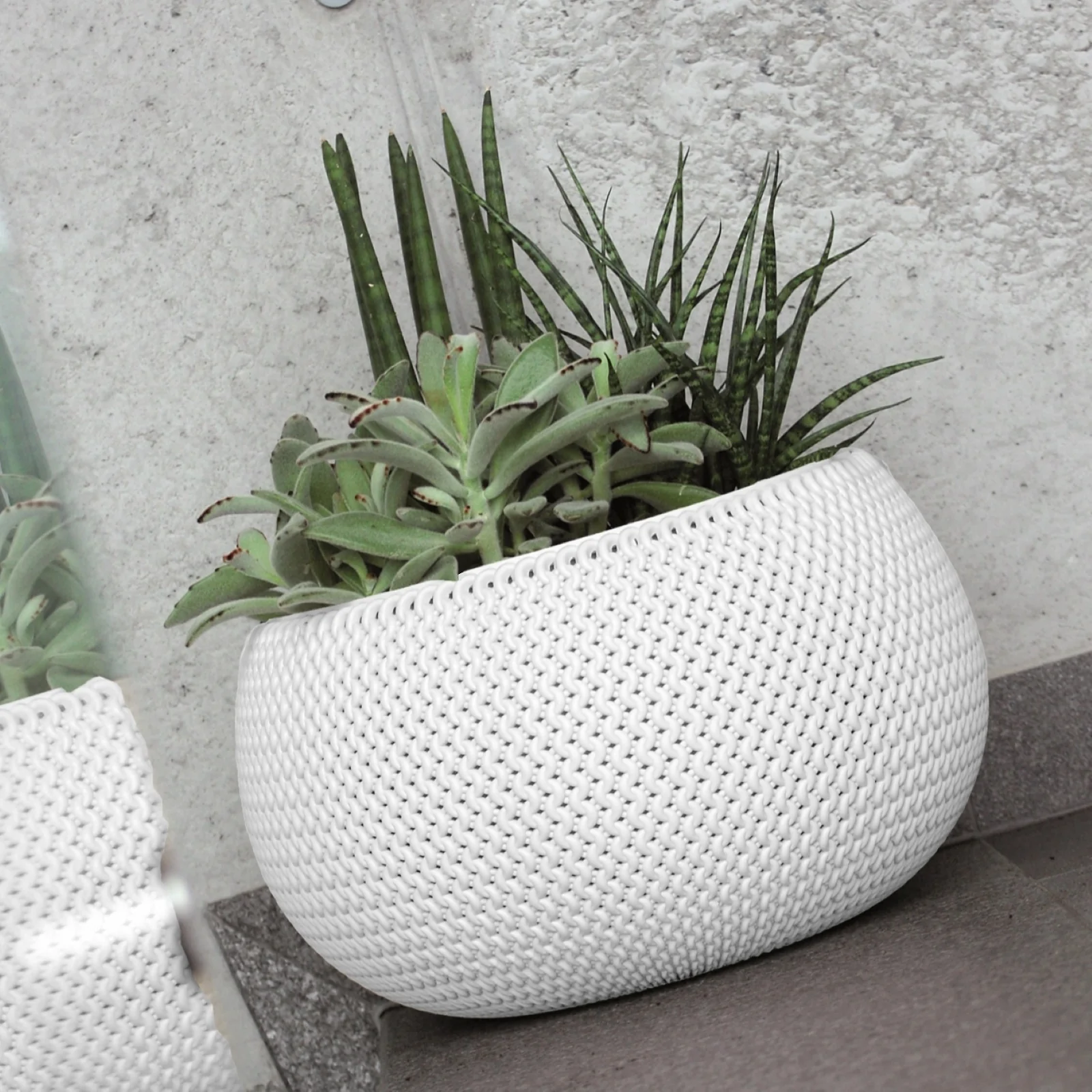 Splofy Bowl Planter 370 - Image 4