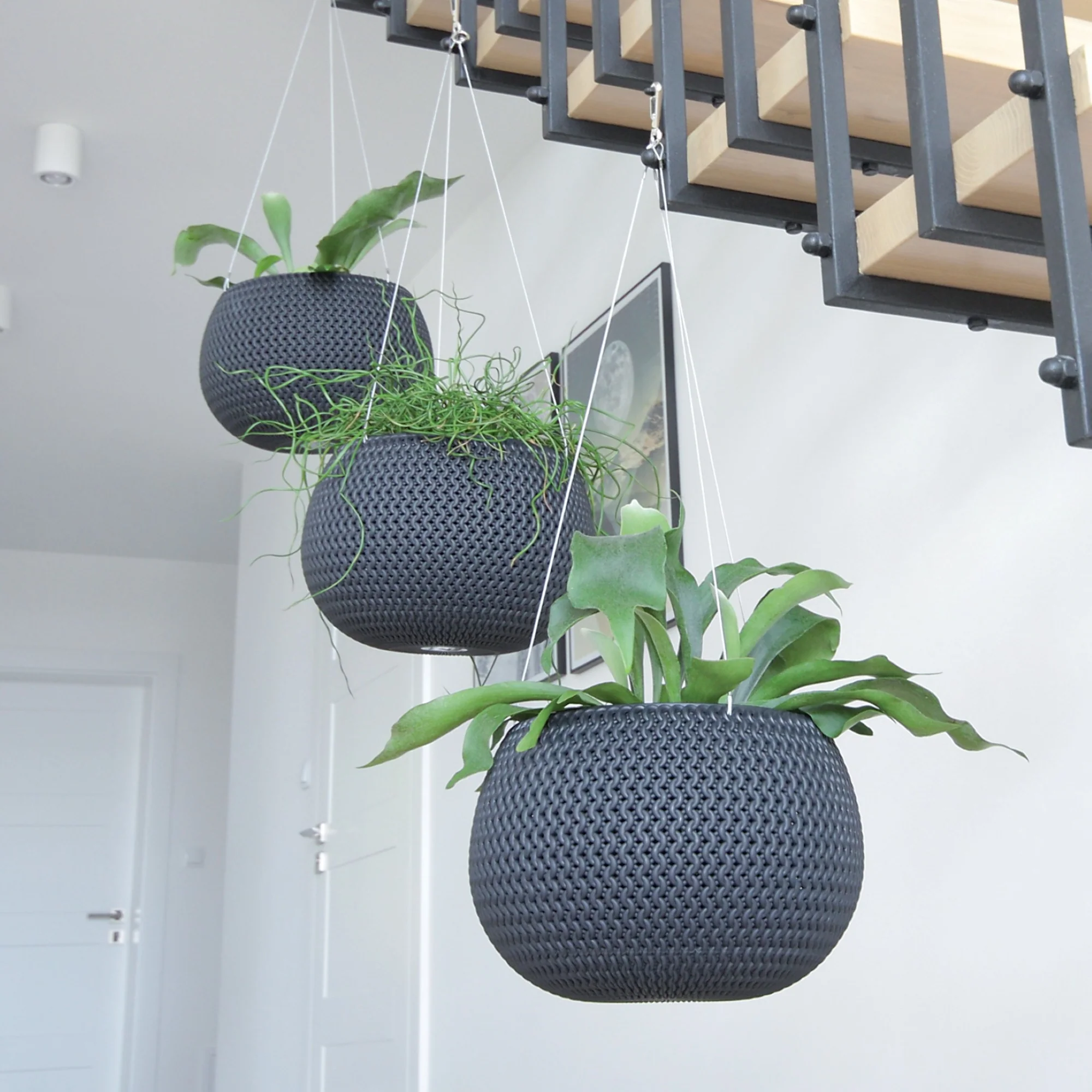 Splofy Hanging Planter 240 - Image 4