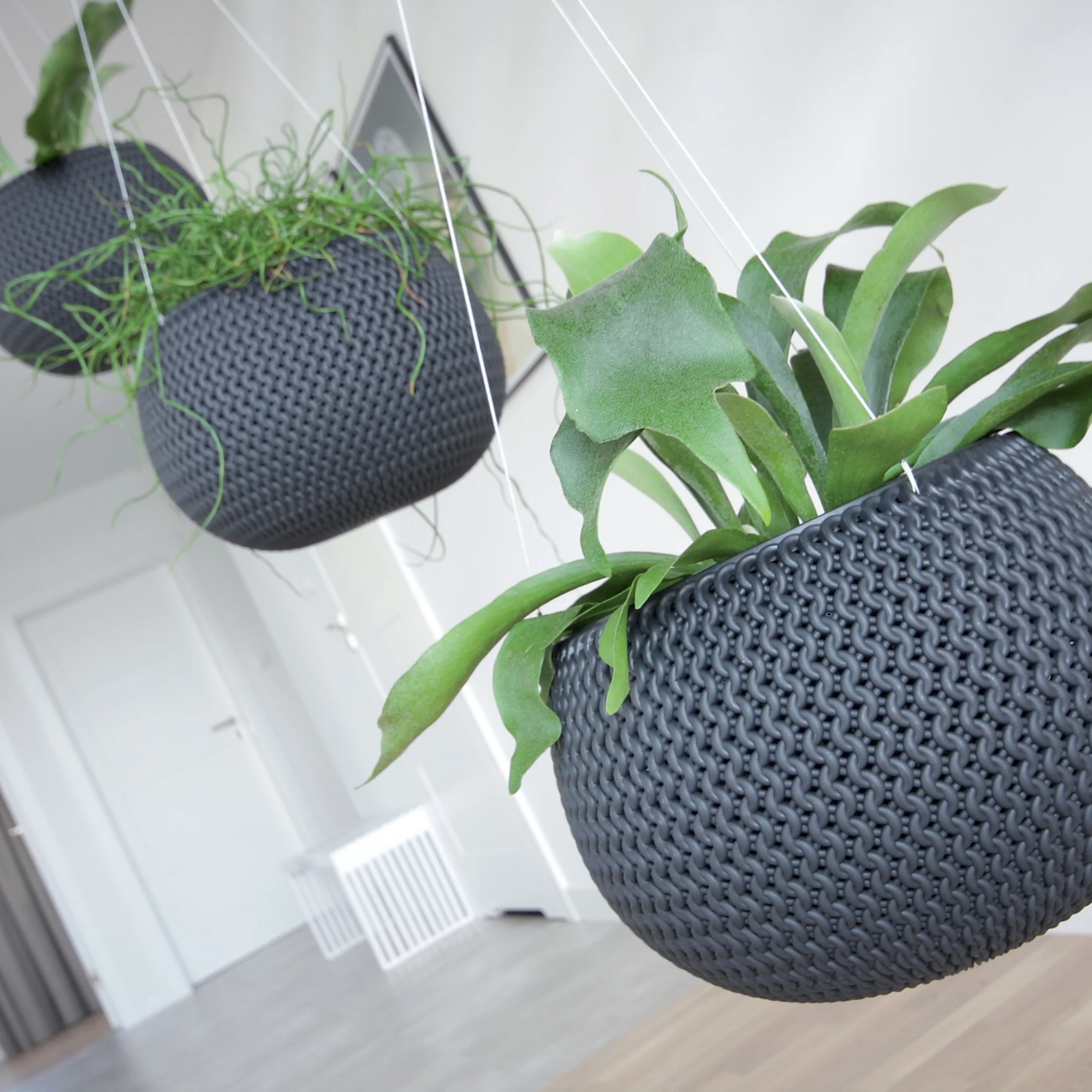 Splofy Hanging Planter 240 - Image 5