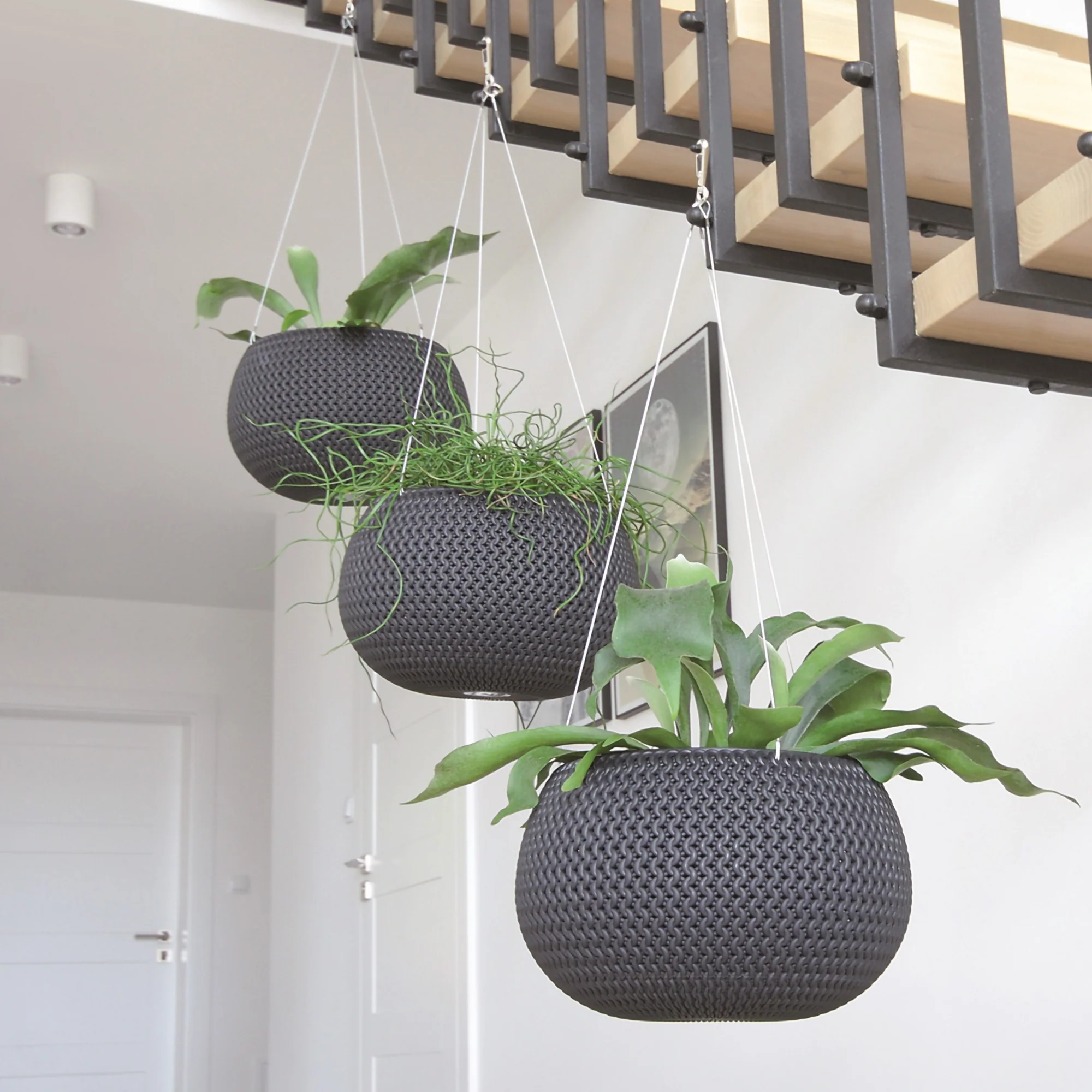 Splofy Hanging Planter 370 - Image 4