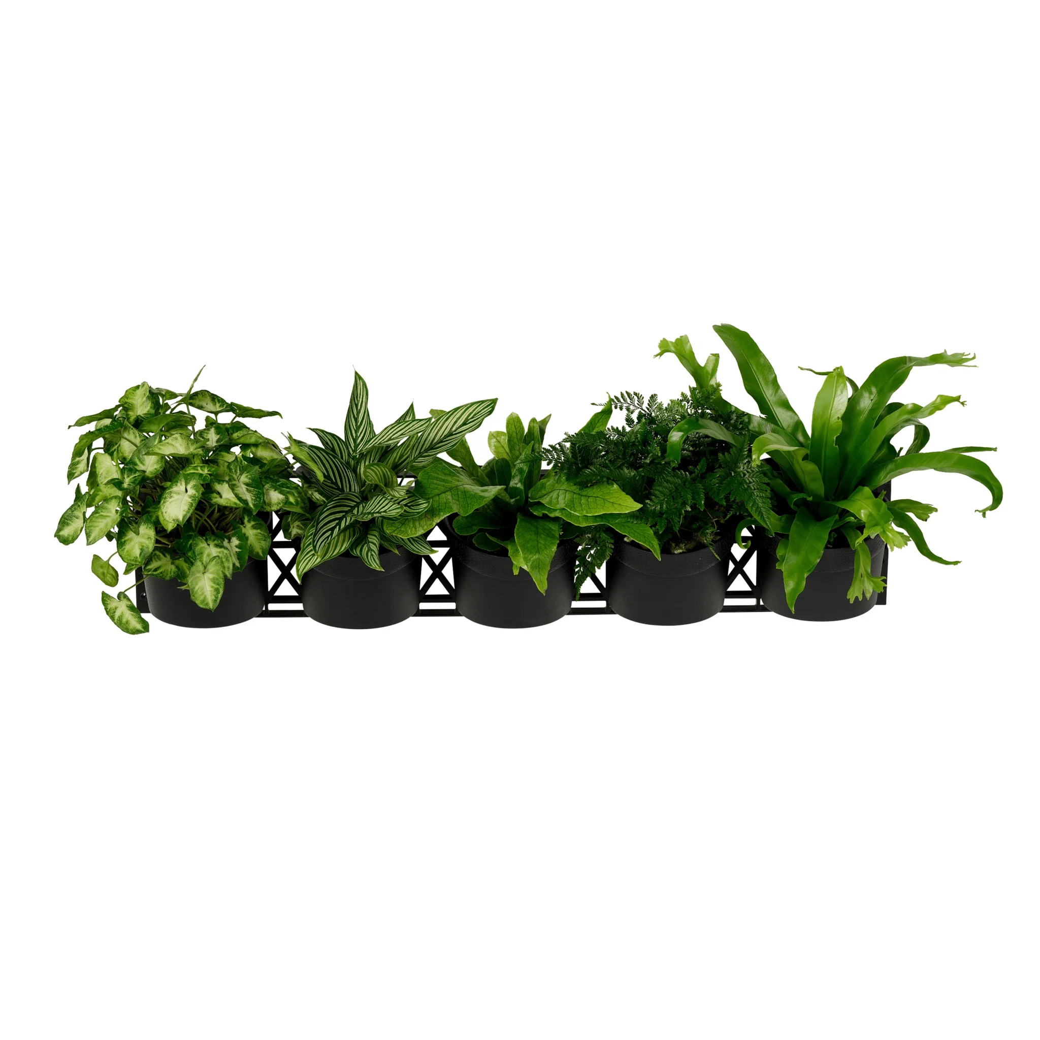 Standard FIVE Tier Vertical Garden - Image 3