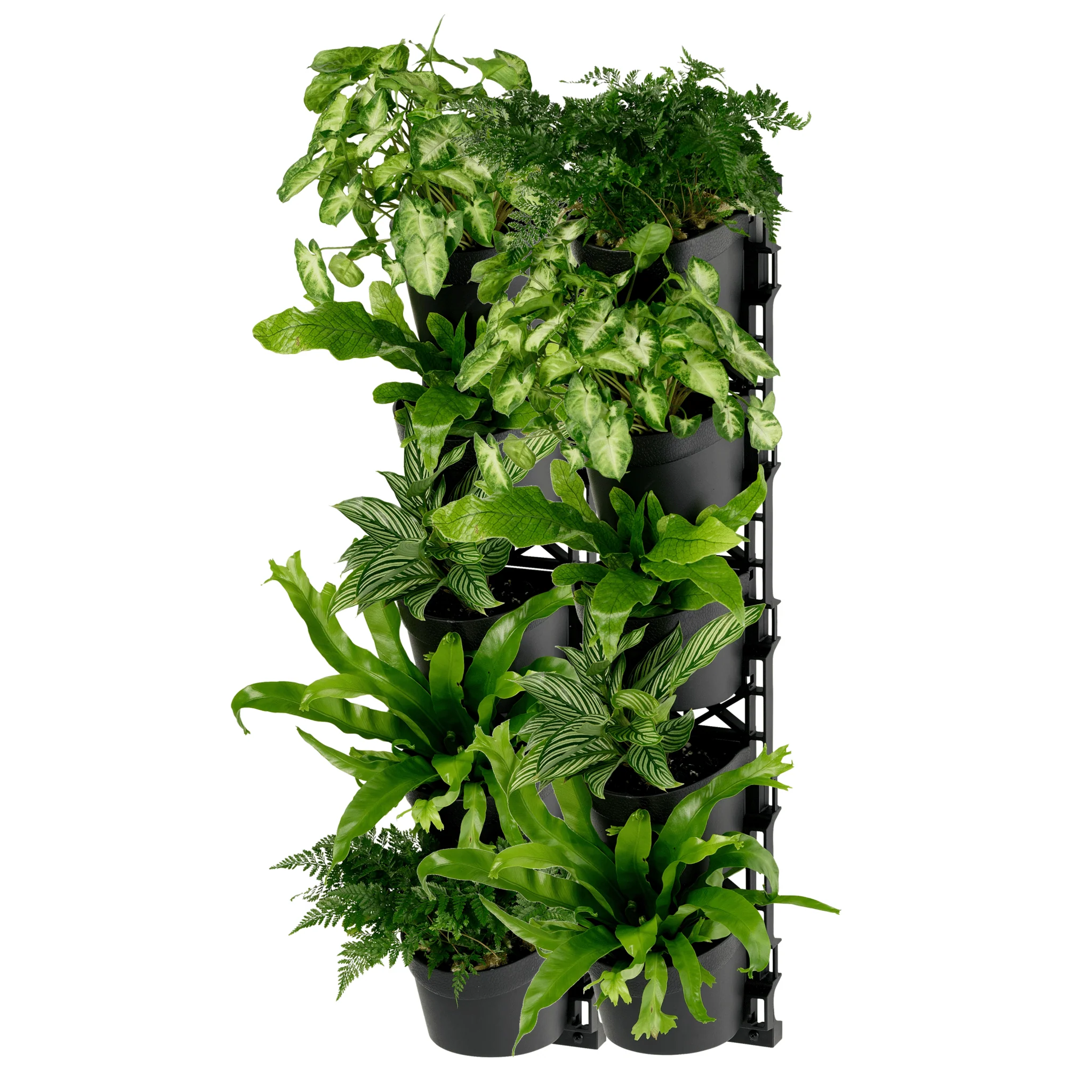 Standard FIVE Tier Vertical Garden - Image 4