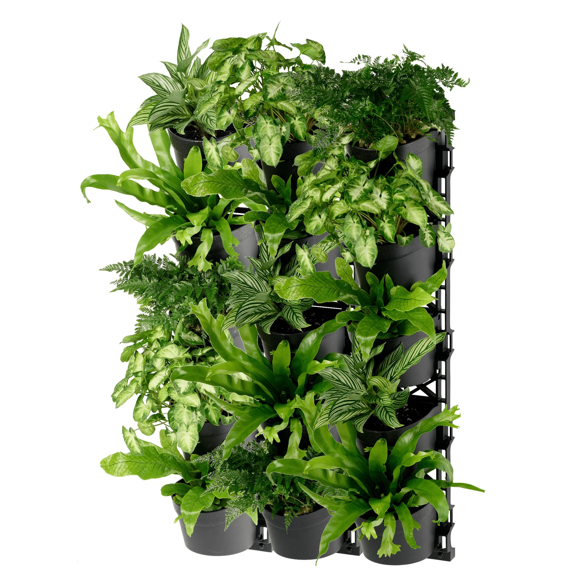 Standard FIVE Tier Vertical Garden - Image 5