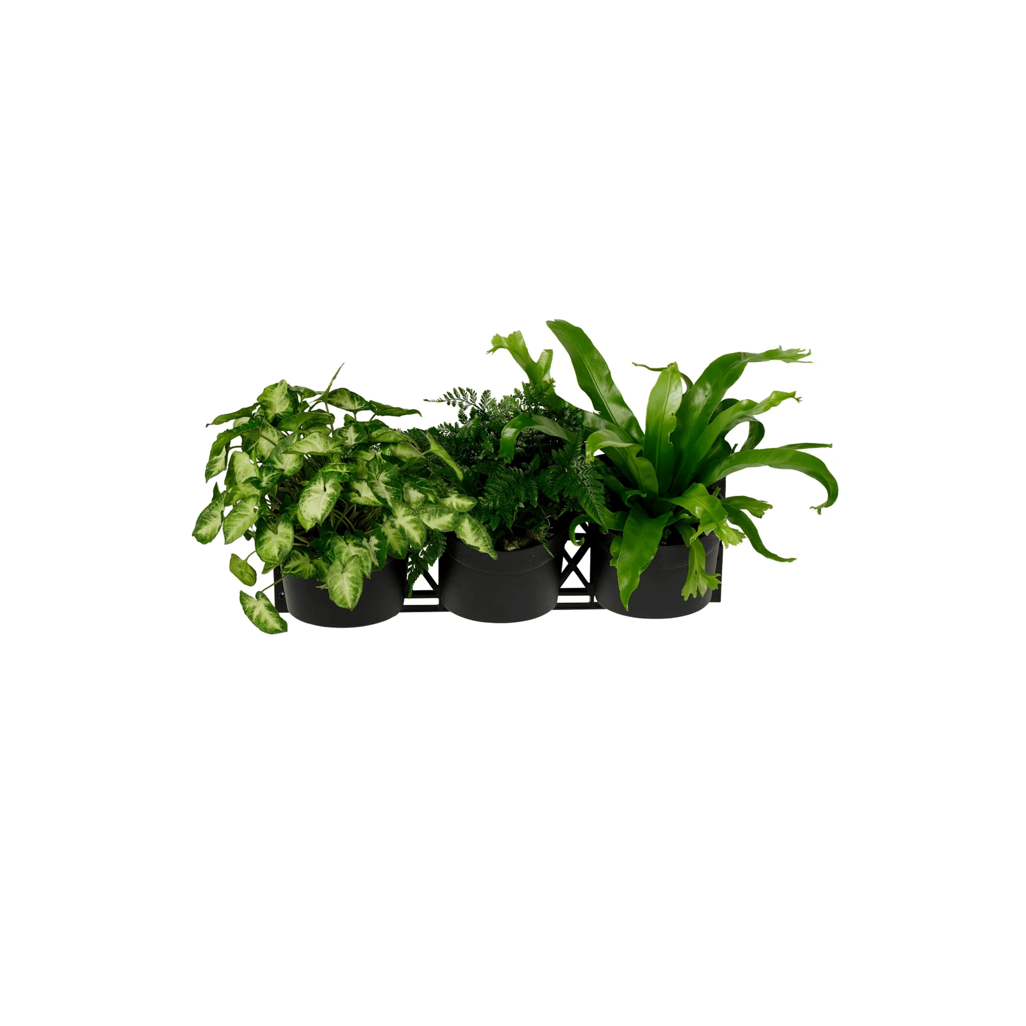 Standard THREE Tier Vertical Garden - Image 3