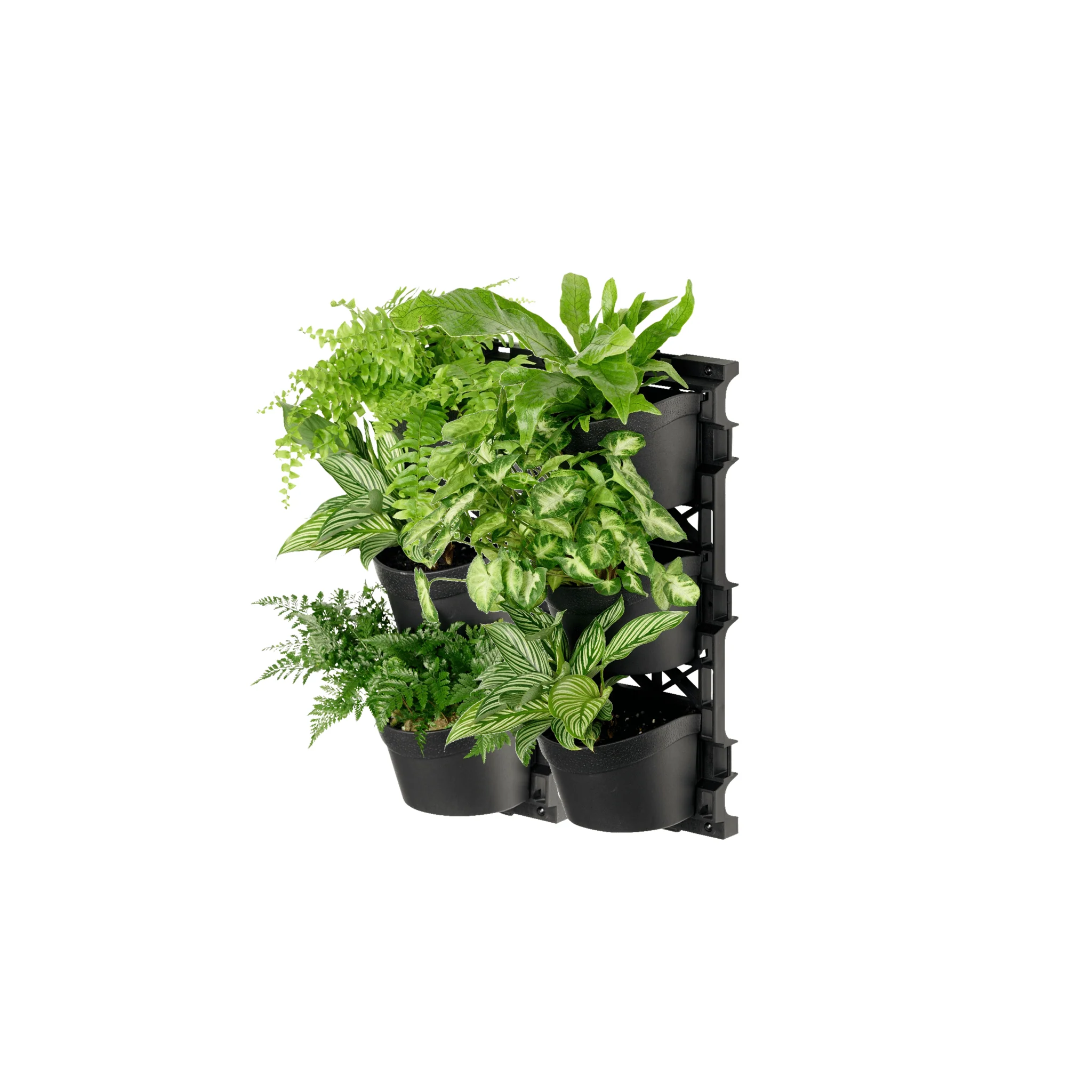 Standard THREE Tier Vertical Garden - Image 4