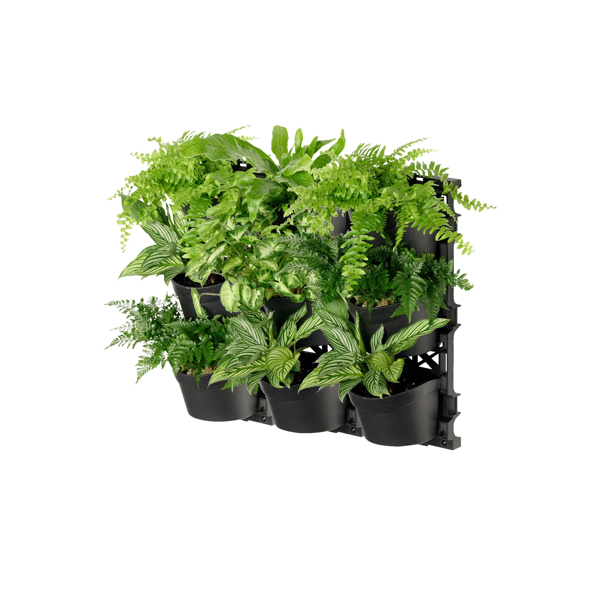 Standard THREE Tier Vertical Garden - Image 5