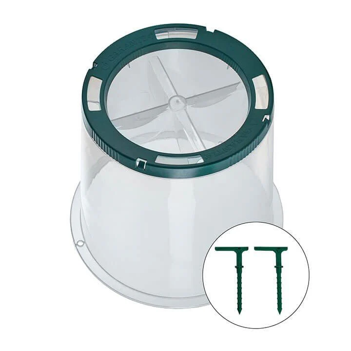 Sunny Cloche - Image 2
