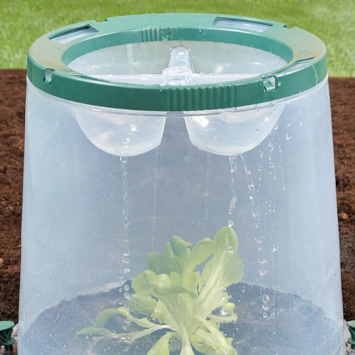 Sunny Cloche - Image 5
