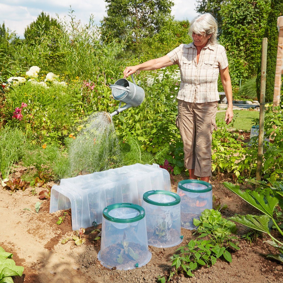 Sunny Cloche - Image 7