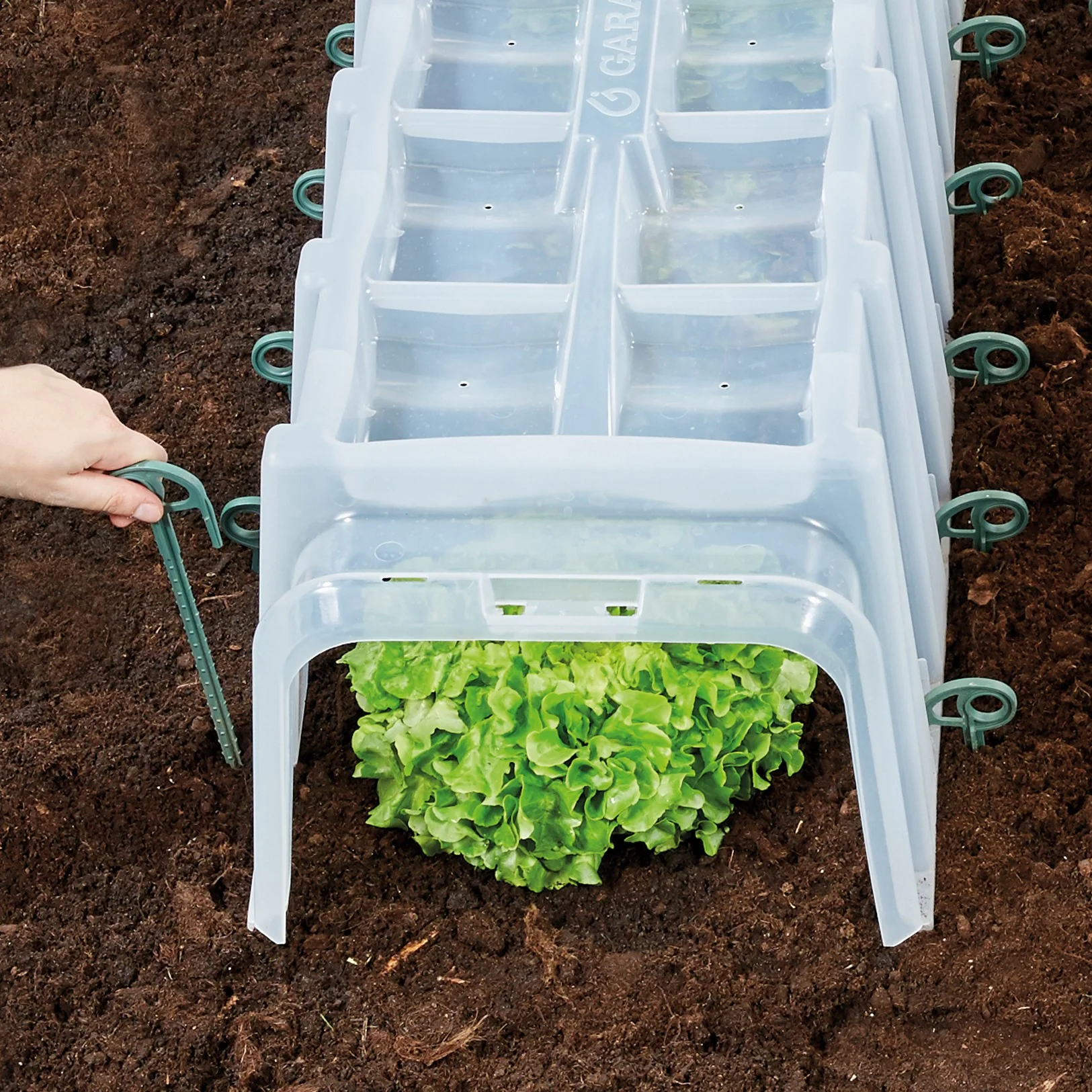 Sunny Growing Tunnel with End Caps & 10 x Pegs - Image 7