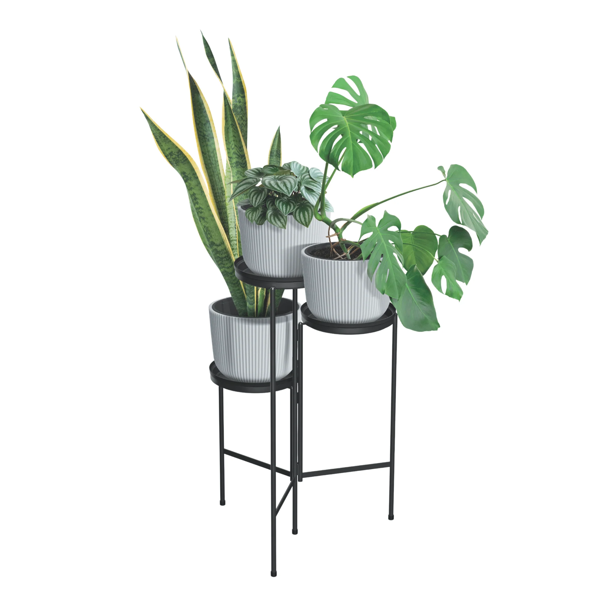 TOL Plant Stand