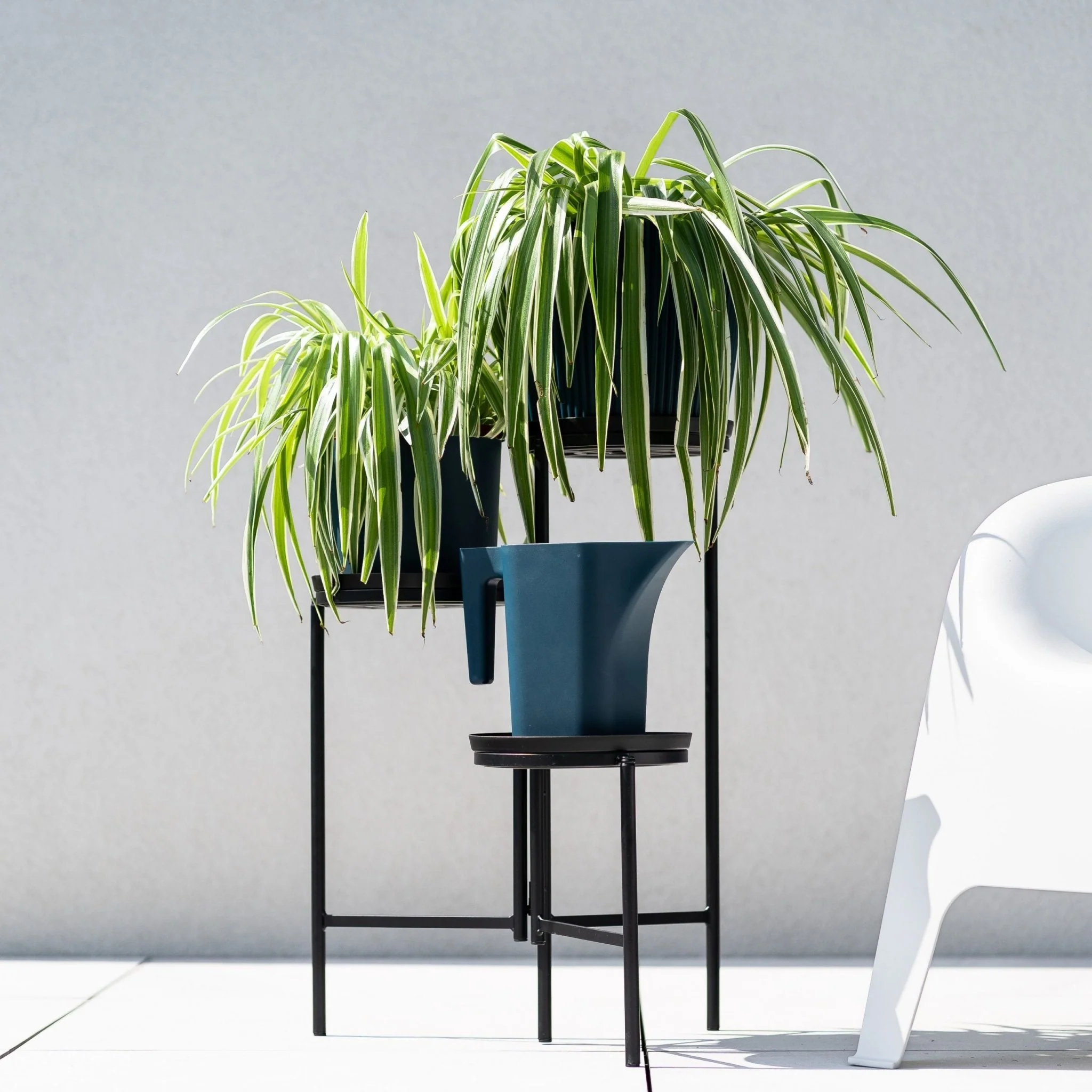 TOL Plant Stand - Image 5
