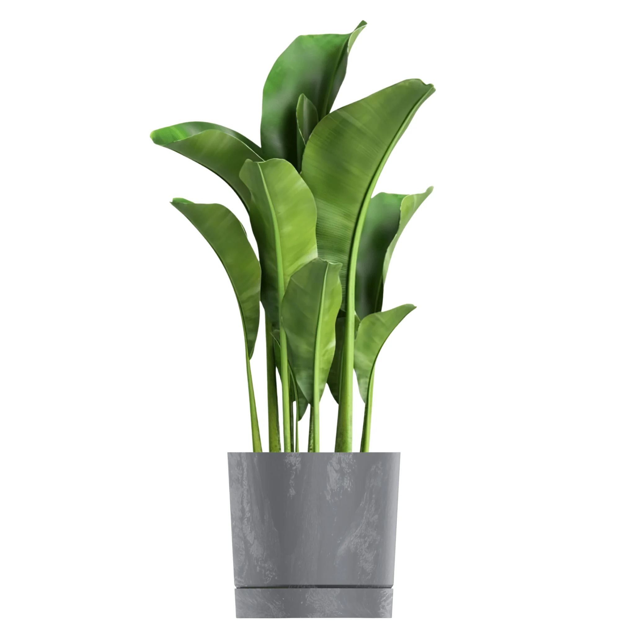 Tubo P Planter - Beton Concrete - Image 10