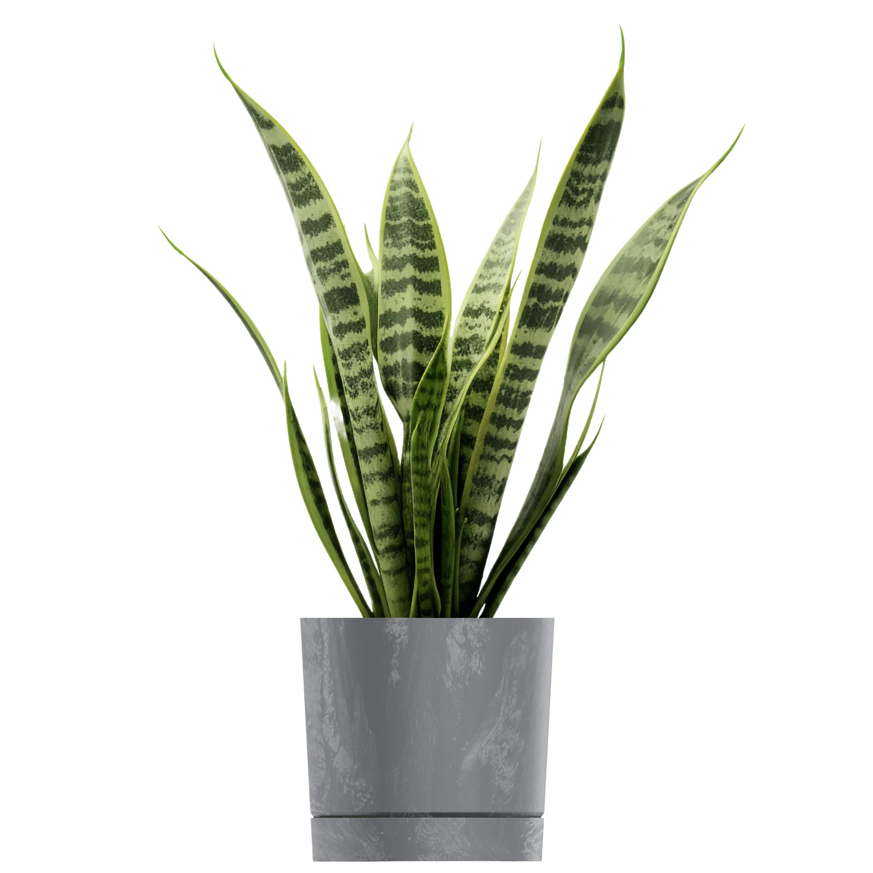 Tubo P Planter - Beton Concrete - Image 11