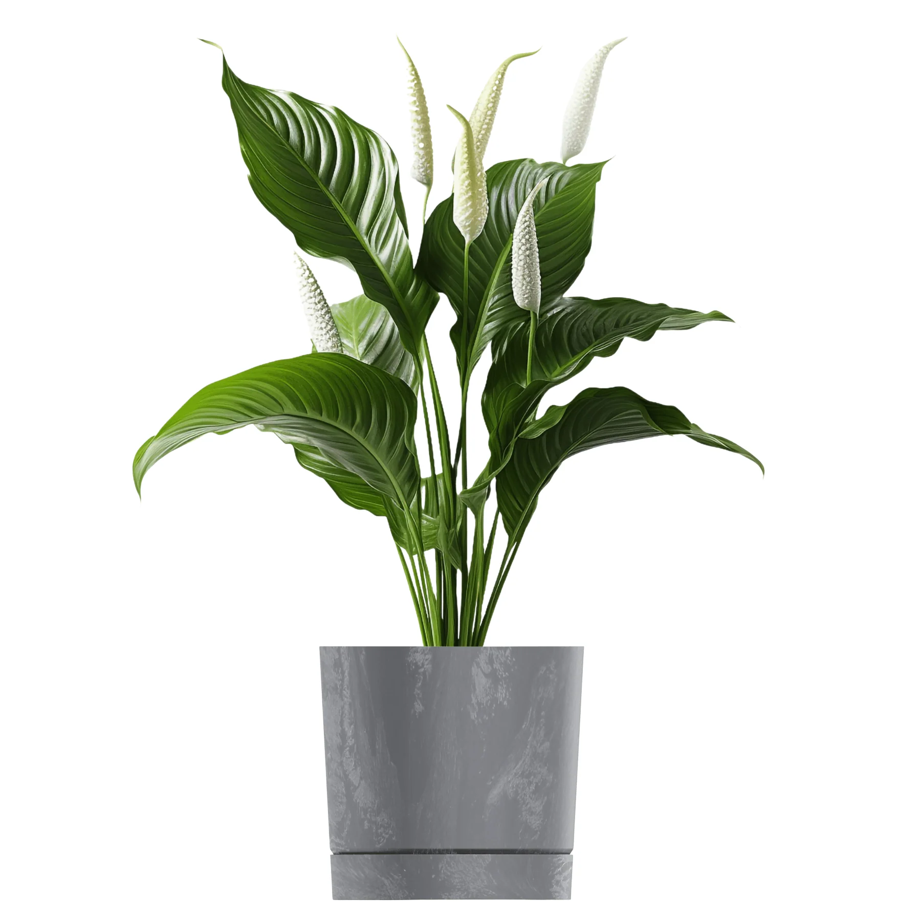 Tubo P Planter - Beton Concrete - Image 12