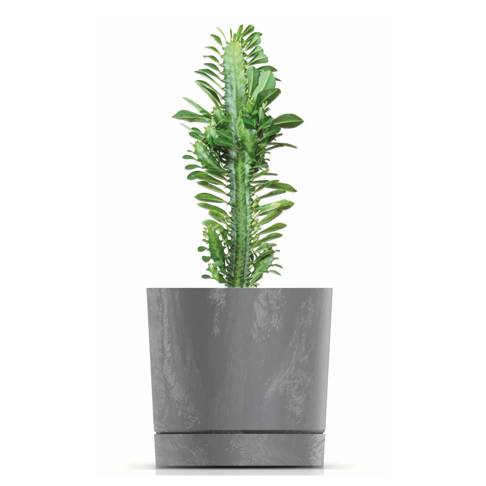 Tubo P Planter - Beton Concrete - Image 13