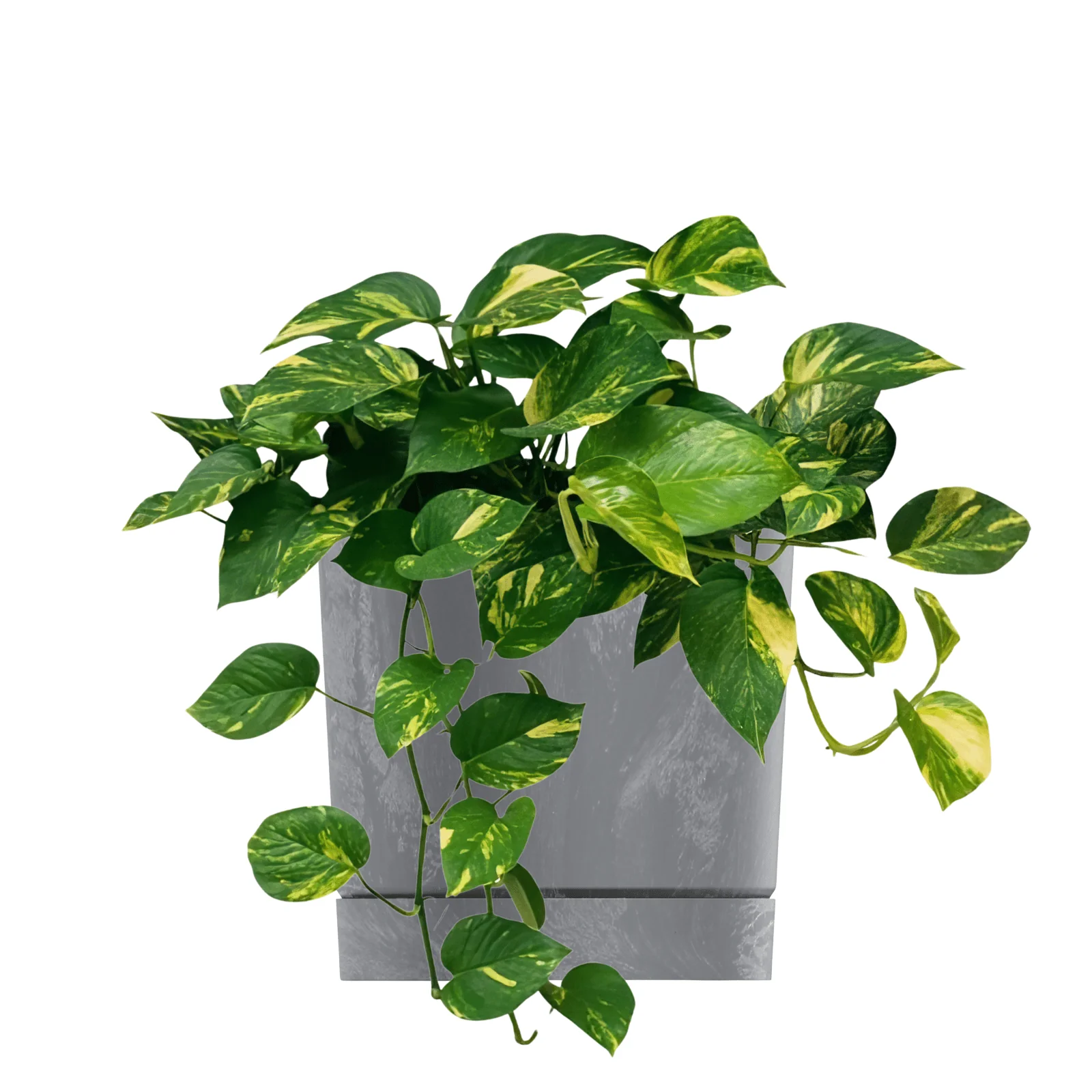 Tubo P Planter - Beton Concrete - Image 14