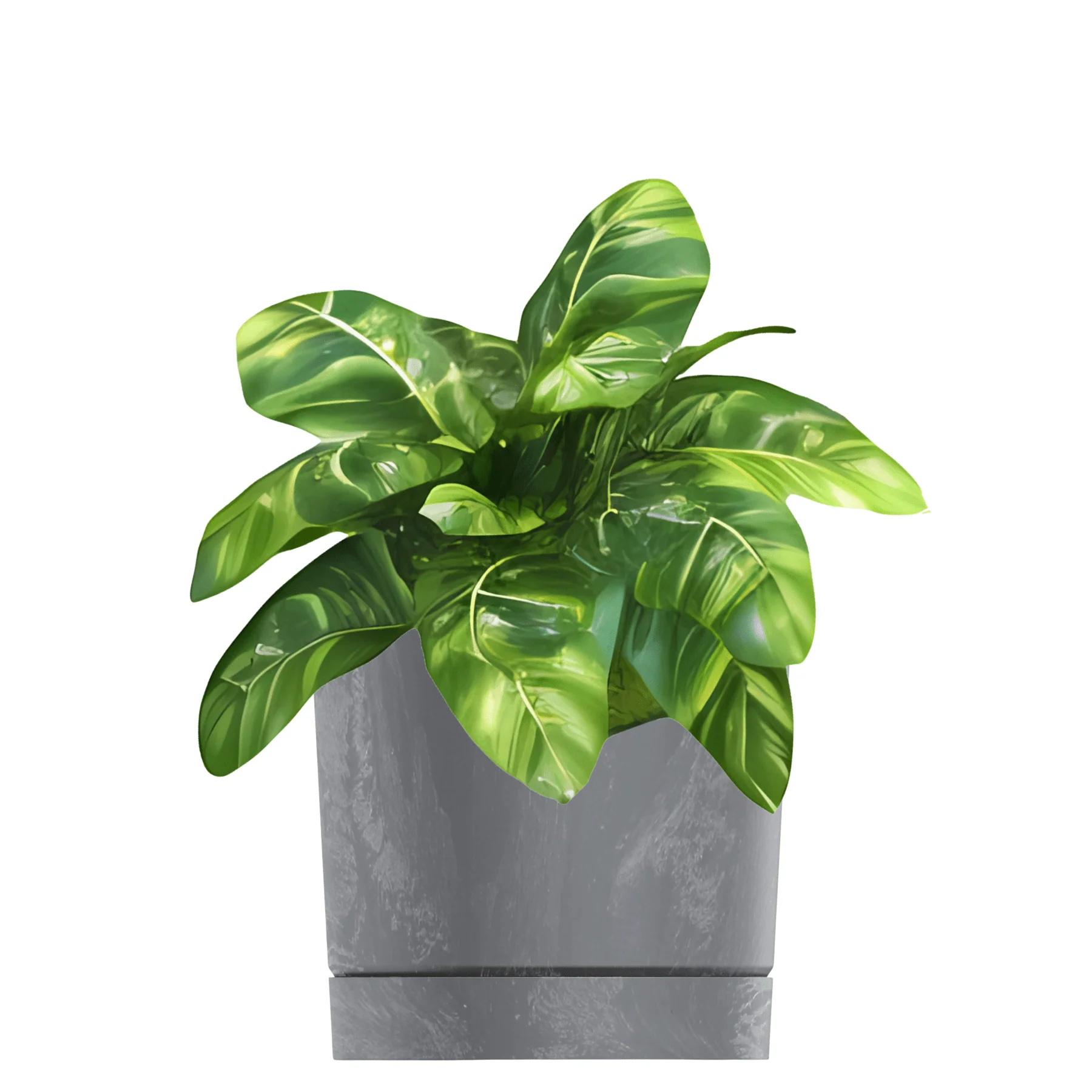 Tubo P Planter - Beton Concrete - Image 15
