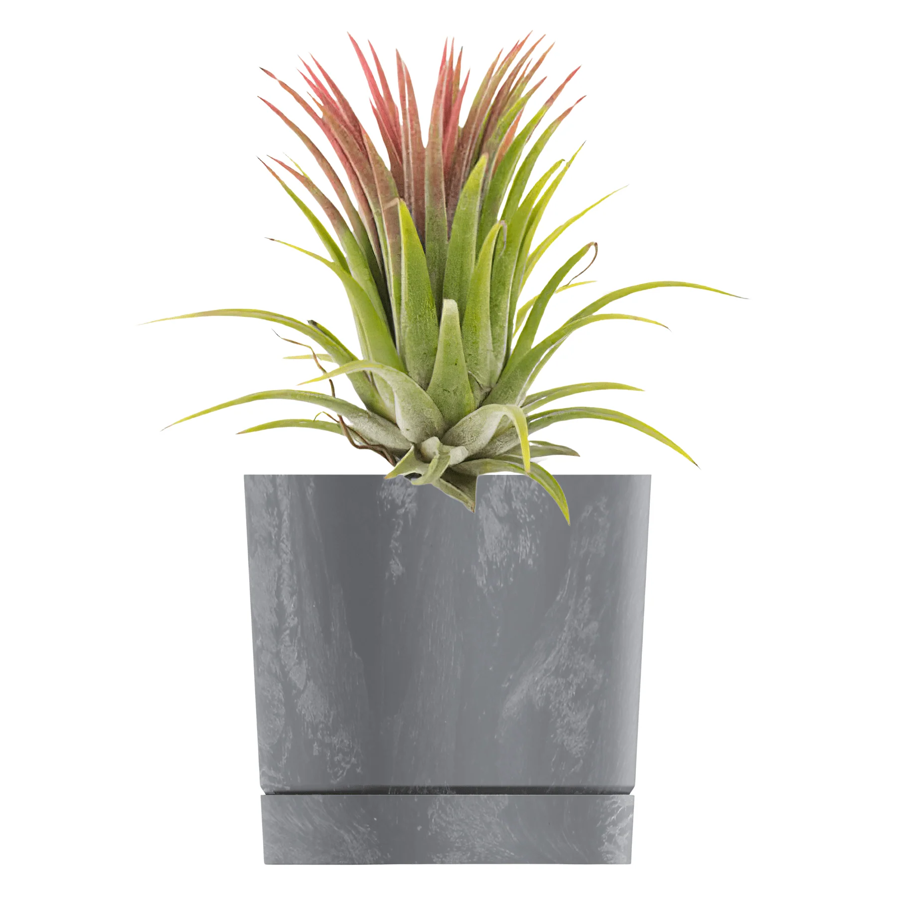 Tubo P Planter - Beton Concrete - Image 16