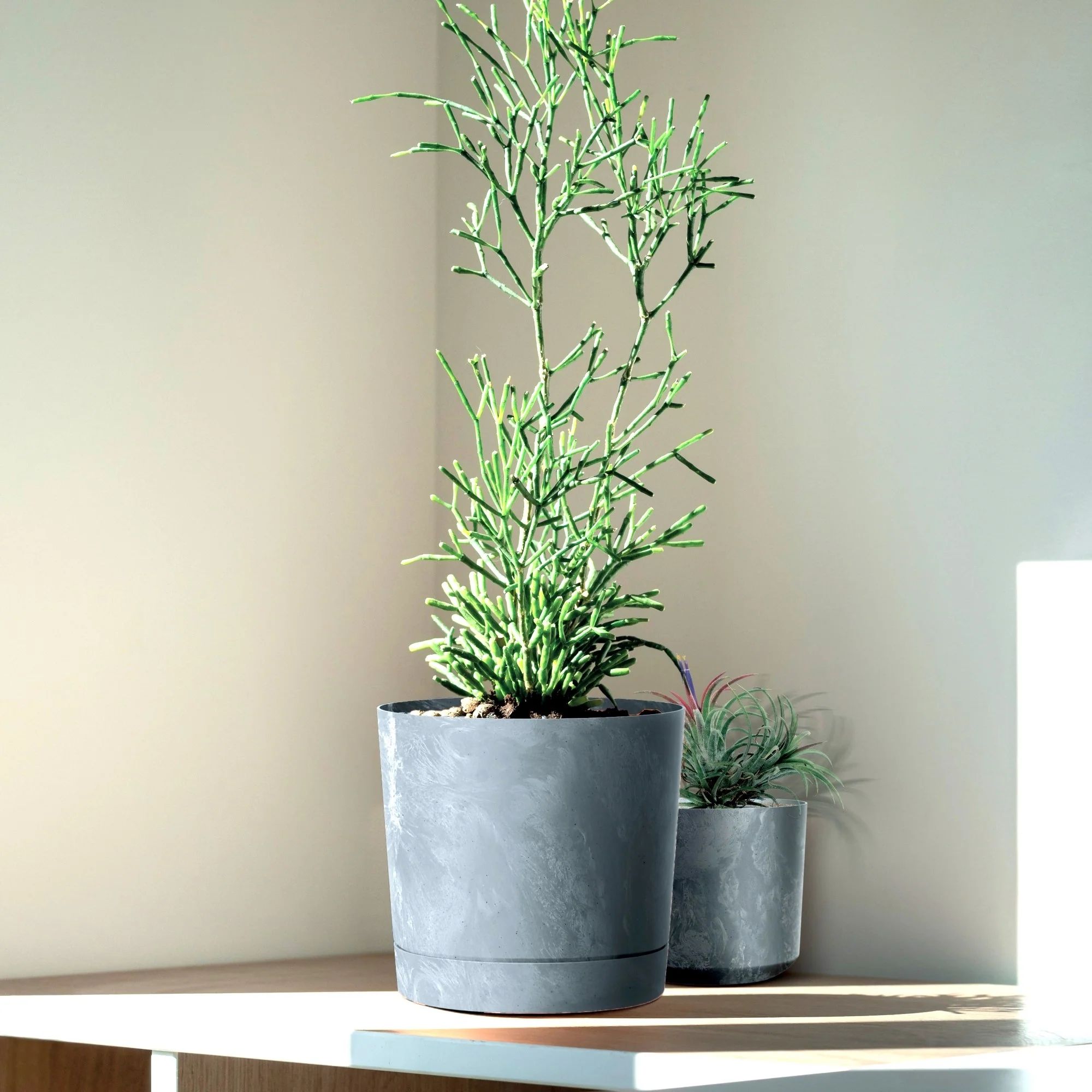 Tubo P Planter - Beton Concrete - Image 17