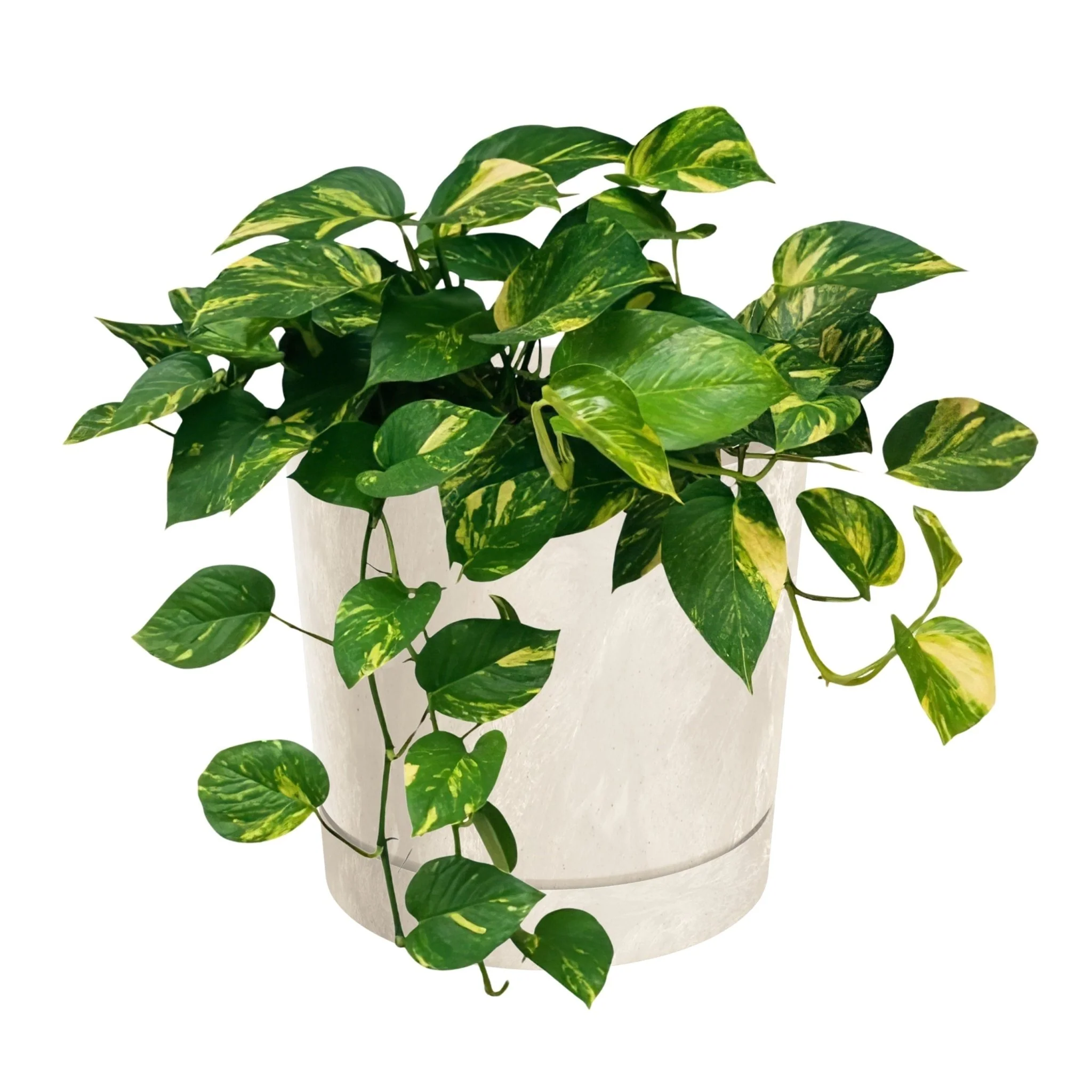 Tubo P Planter - Beton Cream - Image 10