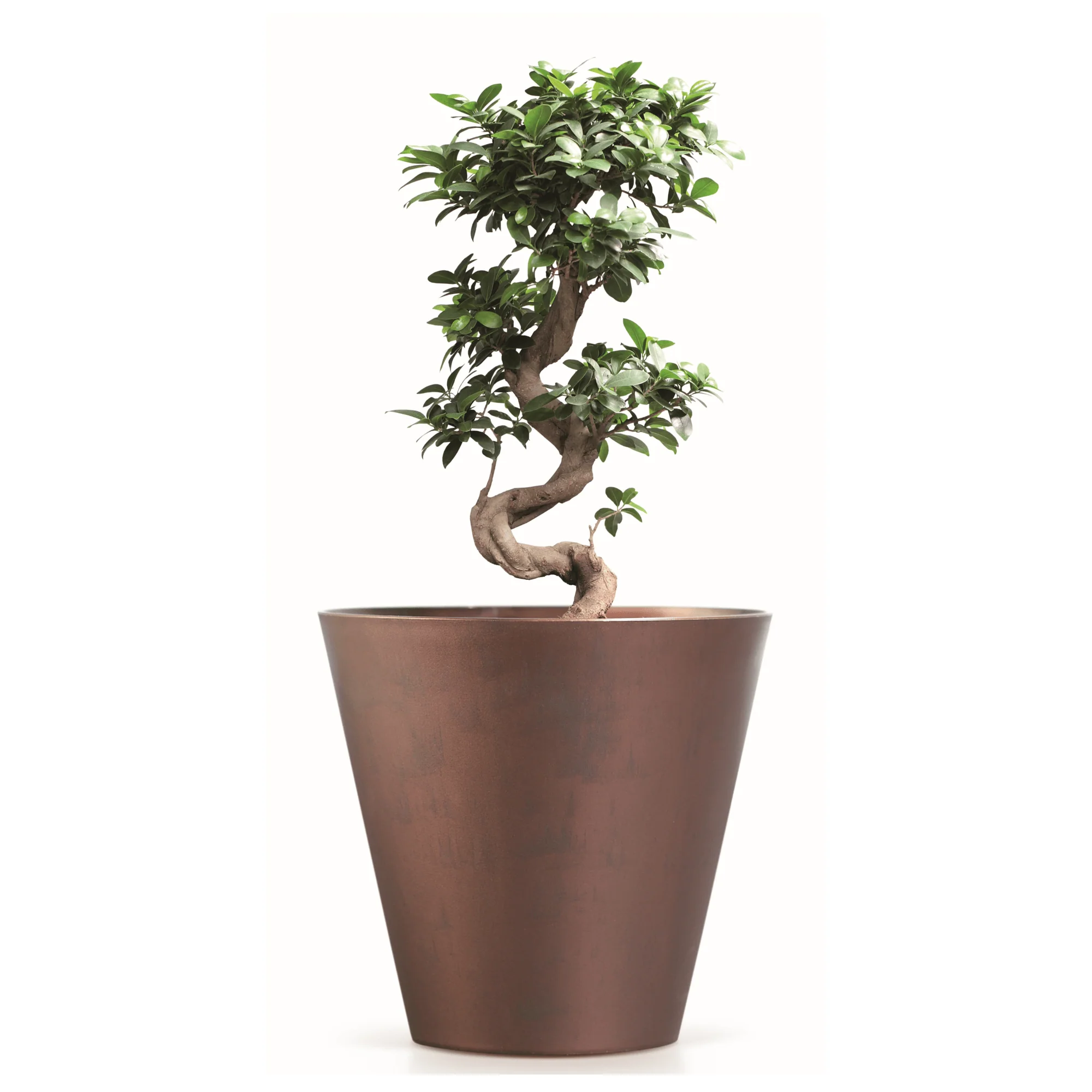 Tubus Corten Planter - Image 6