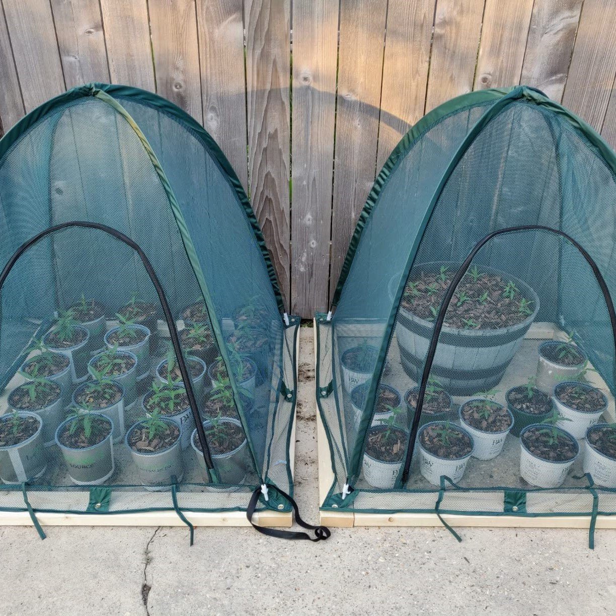 Twin Pack NET Garden Covers - 0.92m2 x 1m High - Image 9