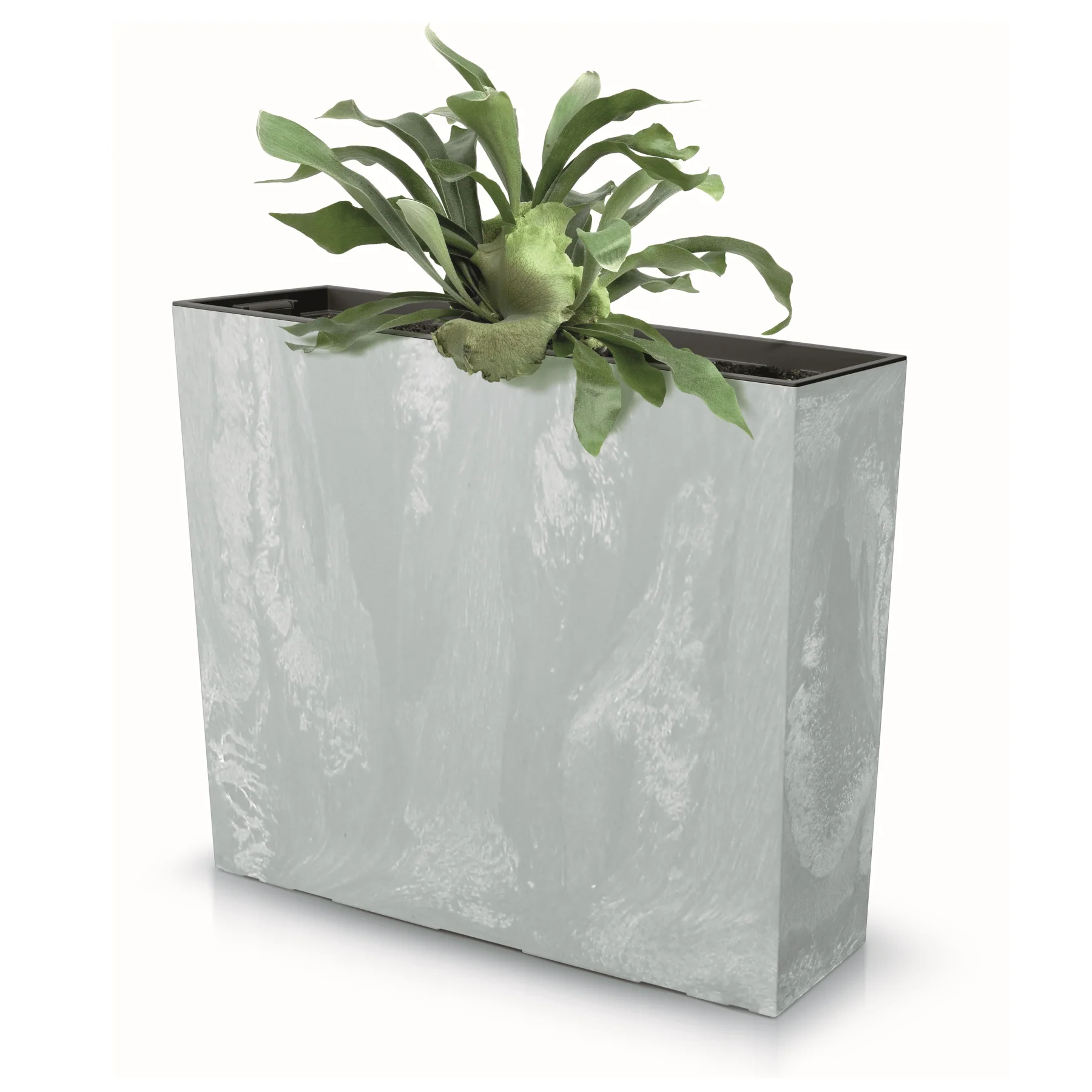 Urbi Case Large Planter - Image 6