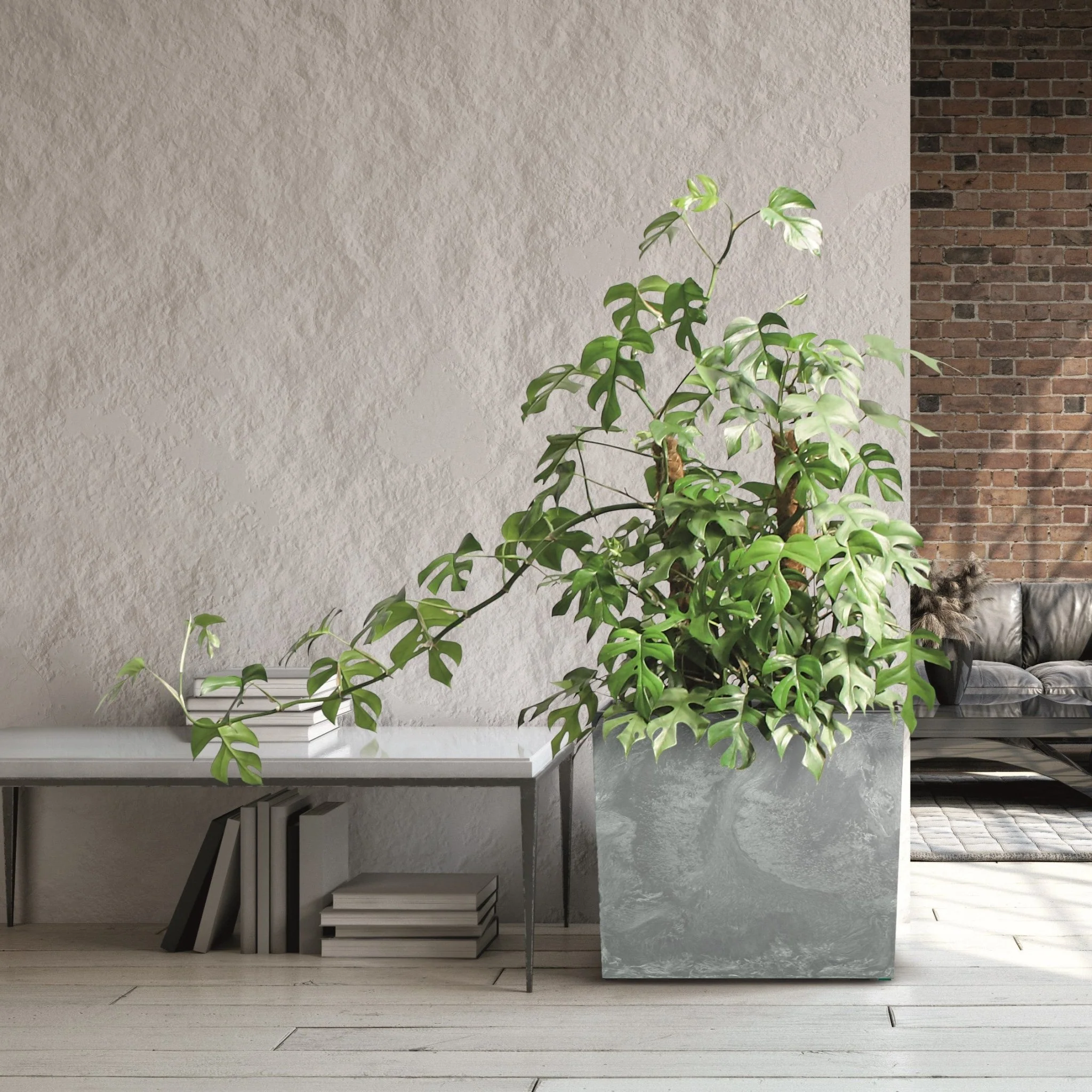 Urbi Case Large Planter - Image 7