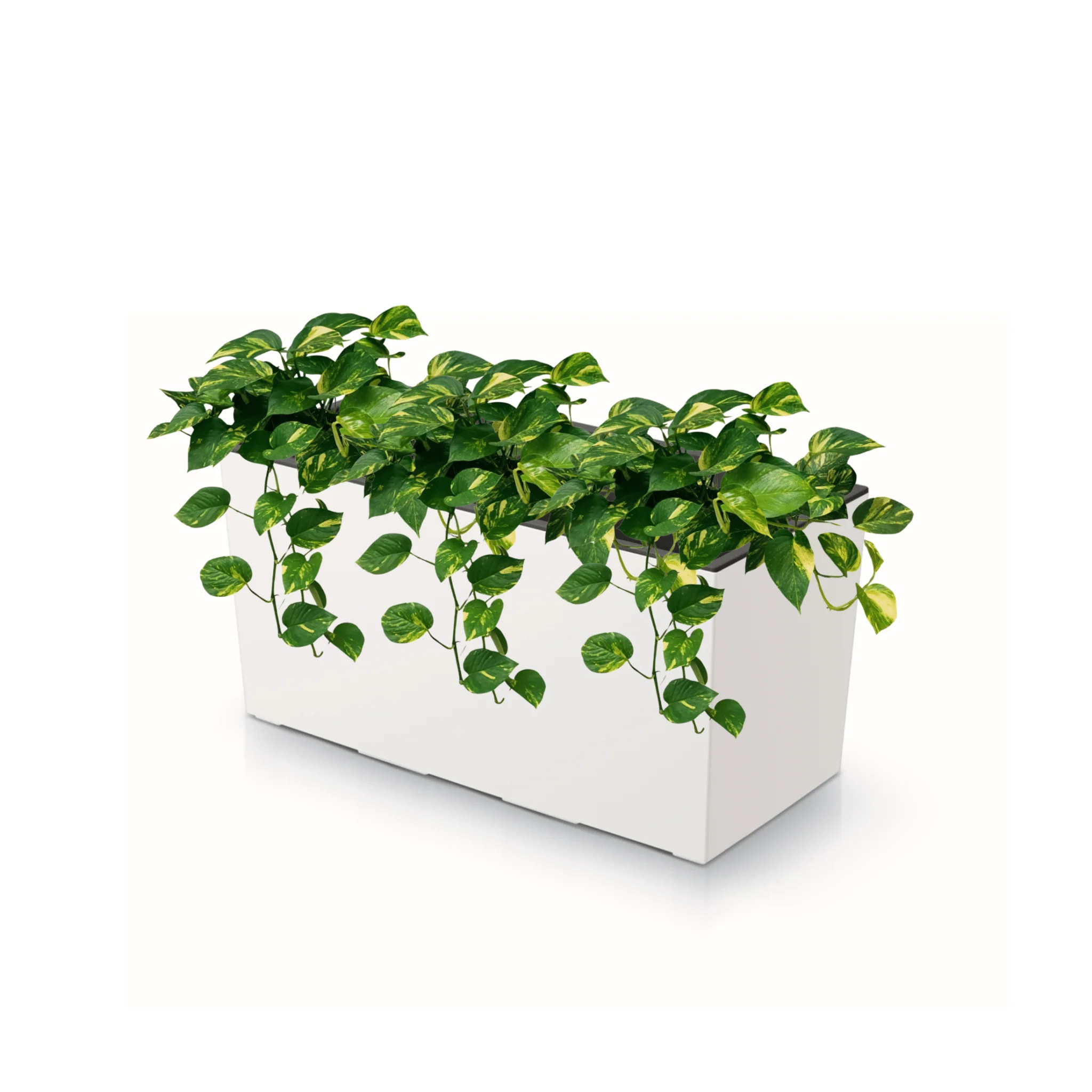 Urbi Case Planter 400 - Image 3