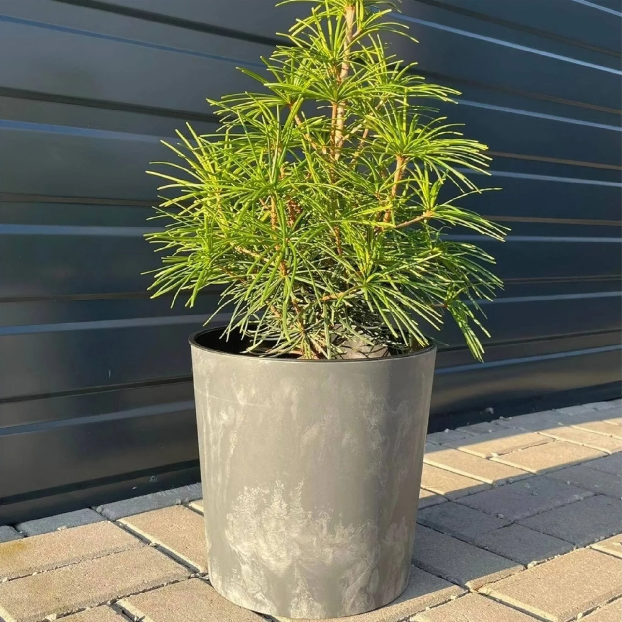 Urbi Round Beton Planter - Image 6