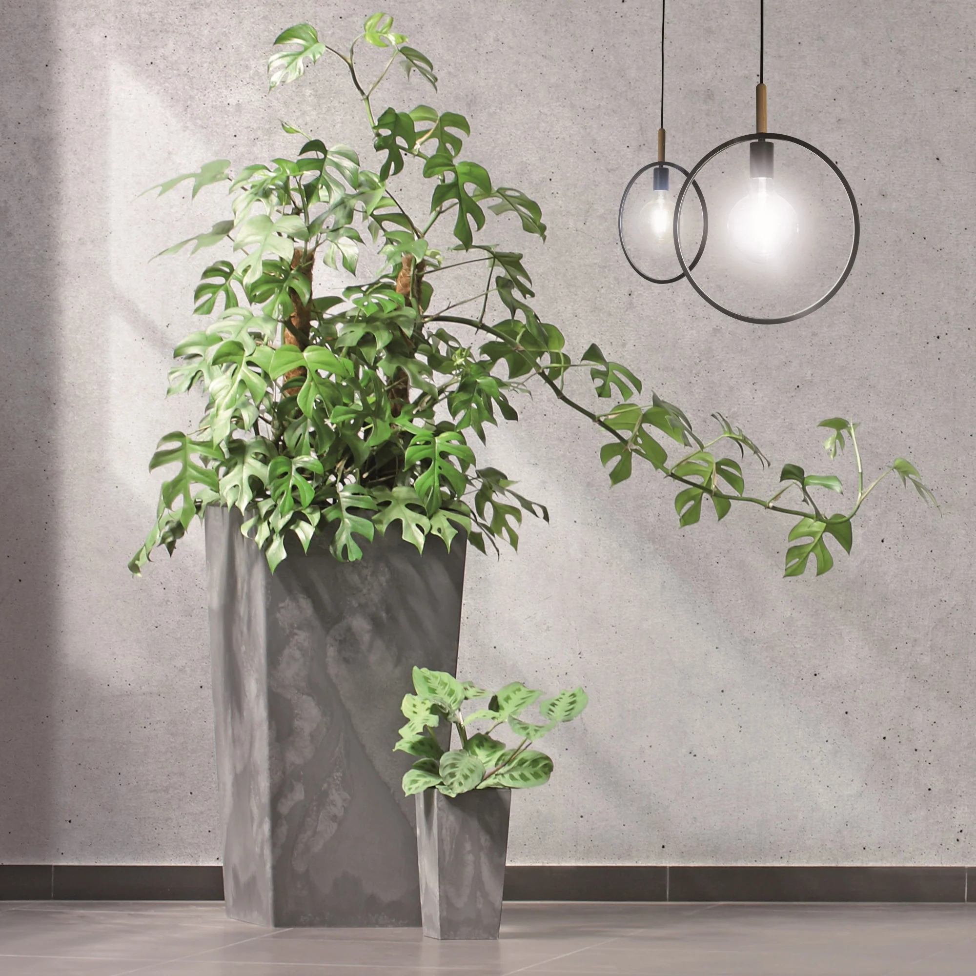Urbi Tall Planter - Image 10