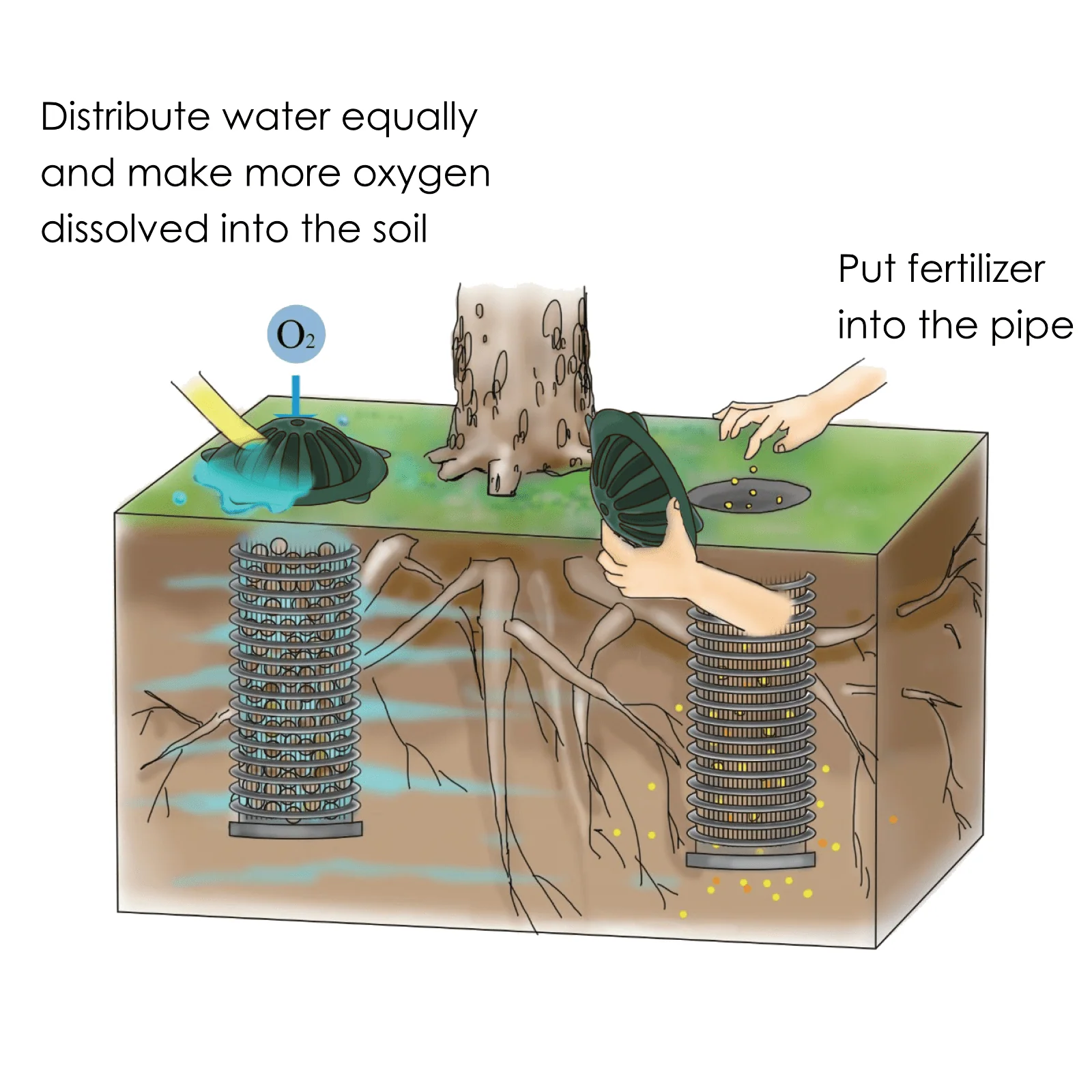XL Root Watering System - Image 6