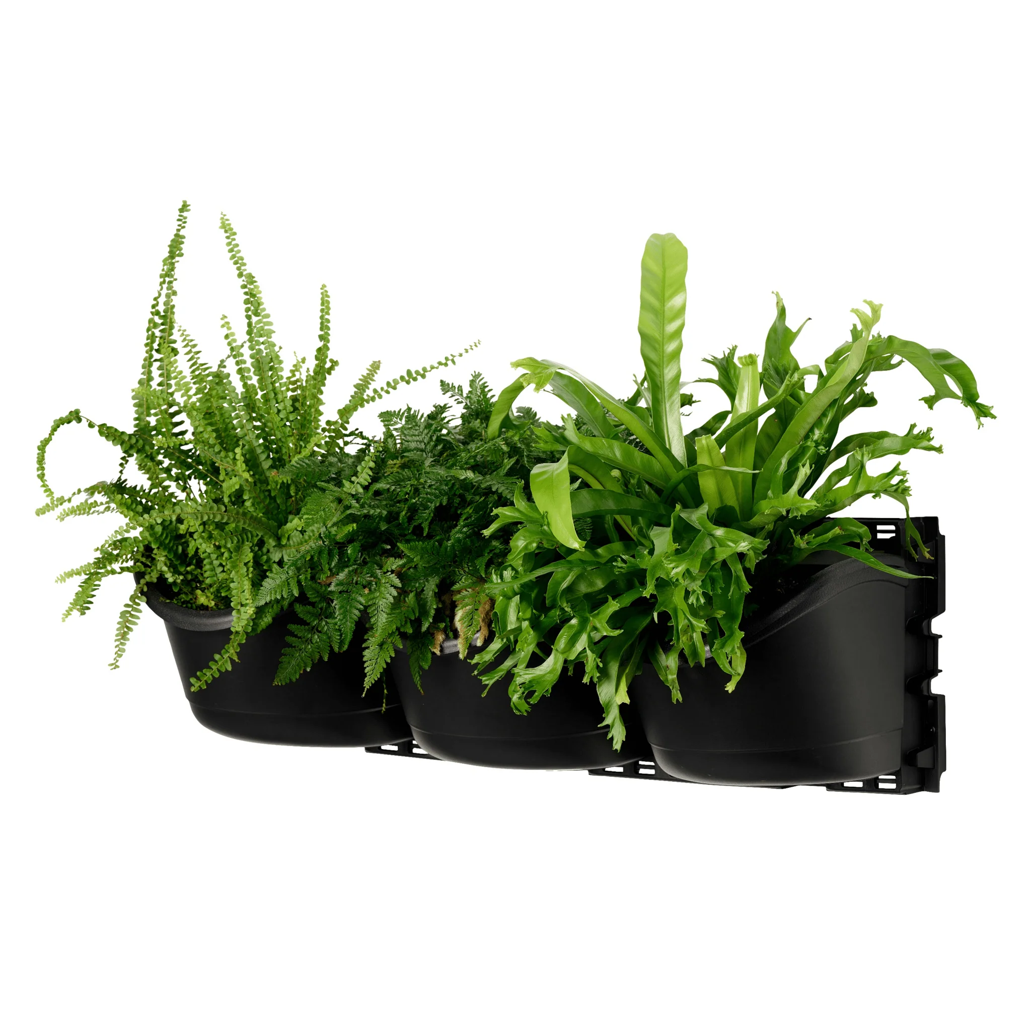 XL THREE Tier Vertical Garden - Image 3