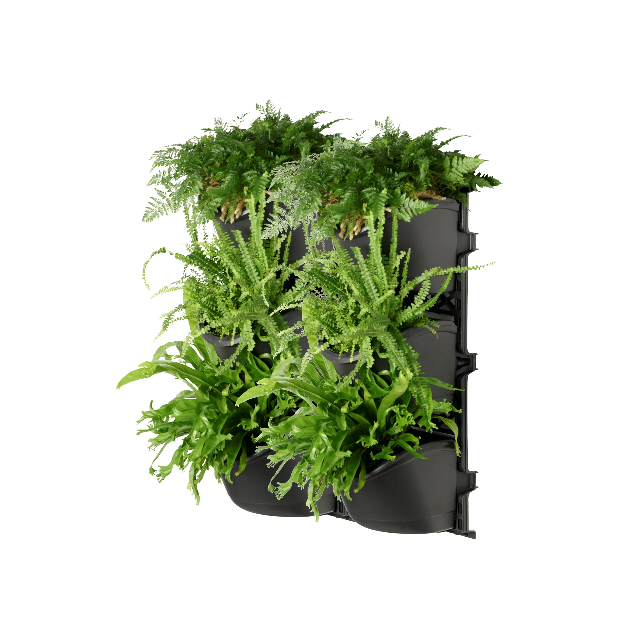 XL THREE Tier Vertical Garden - Image 4