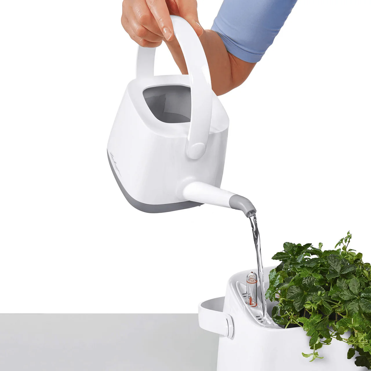 YULA Watering Can - Image 6